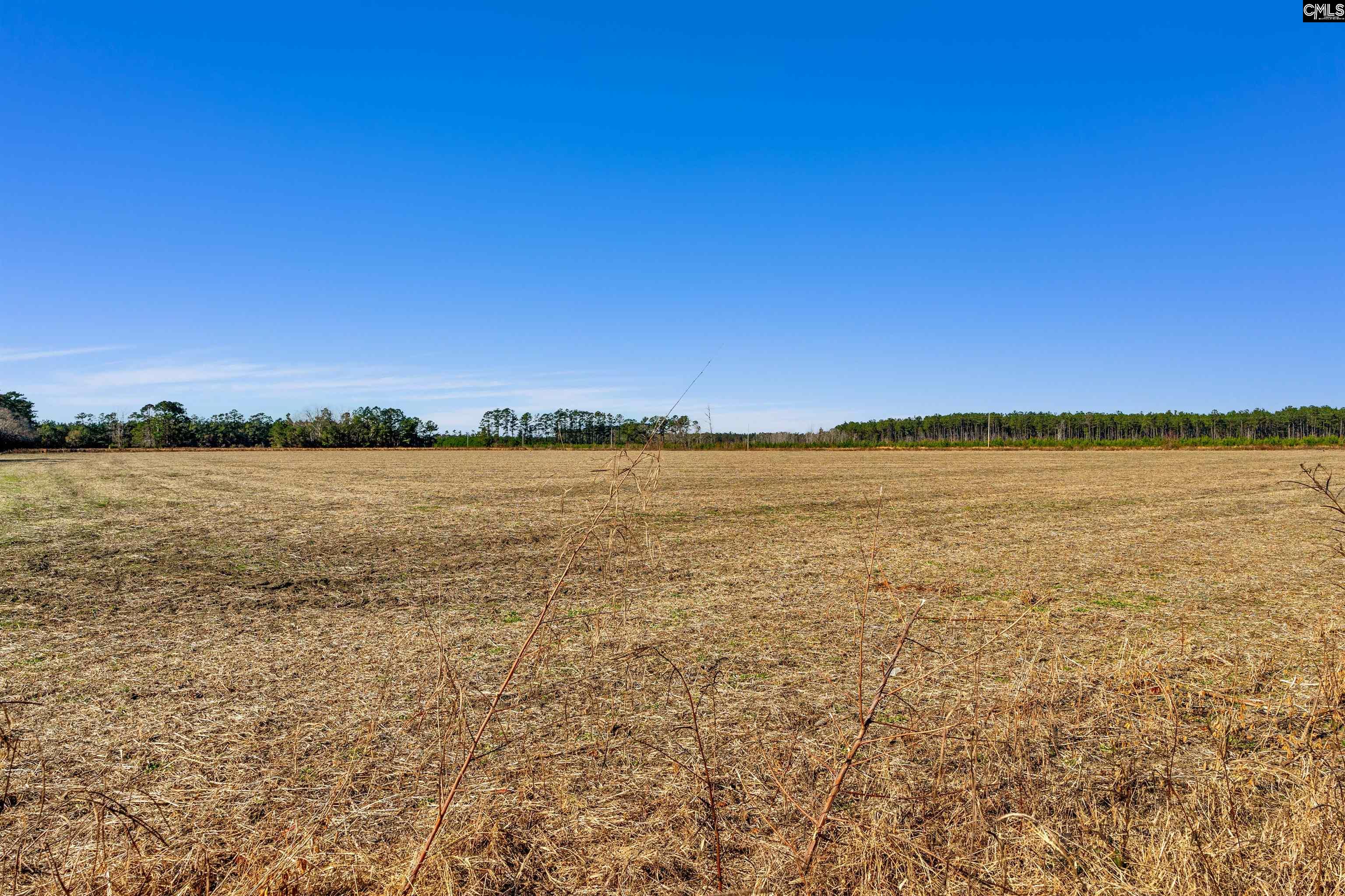1745 Williams Hill Road #3, Hemingway, South Carolina image 12