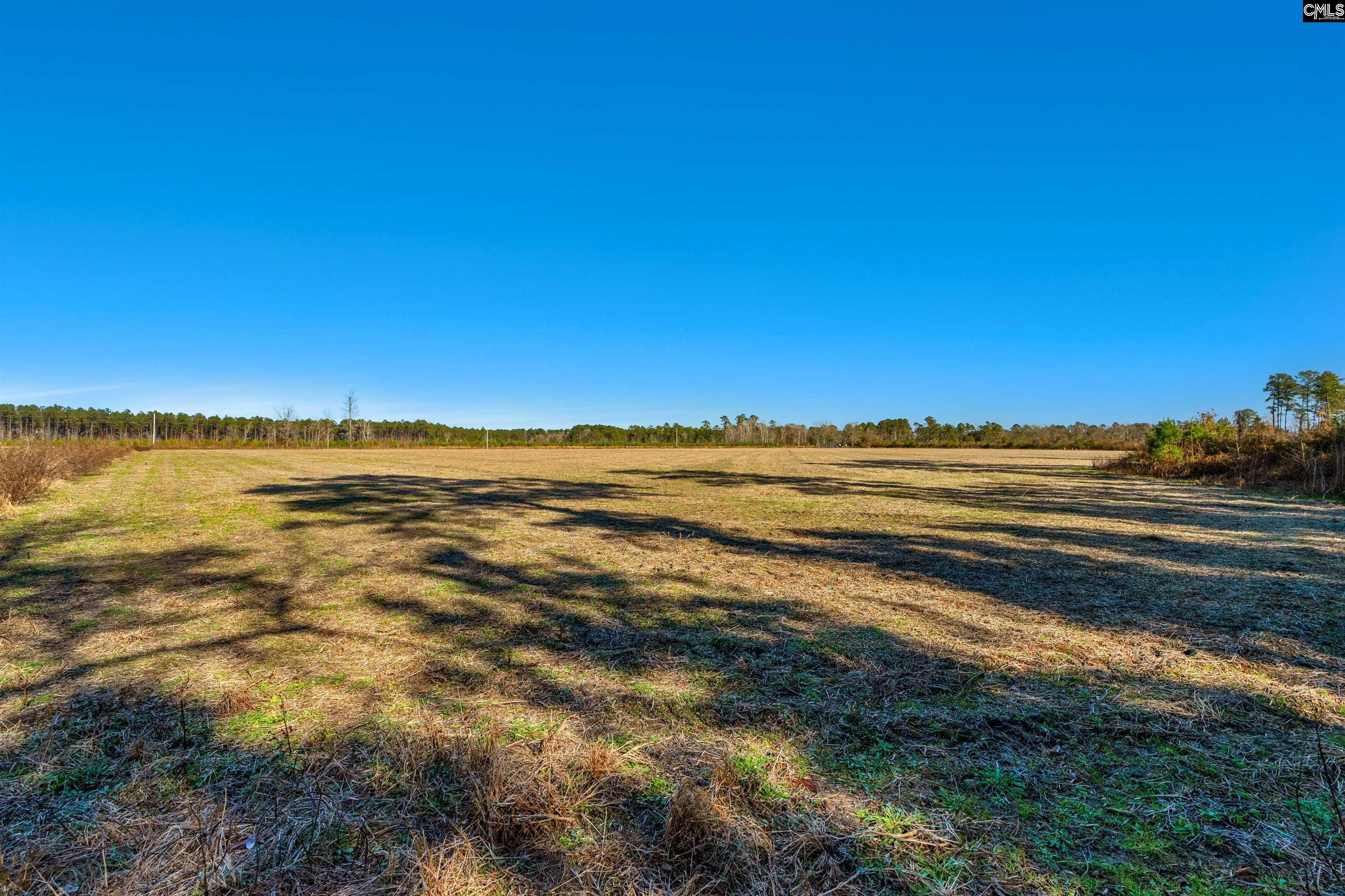 1745 Williams Hill Road #3, Hemingway, South Carolina image 13