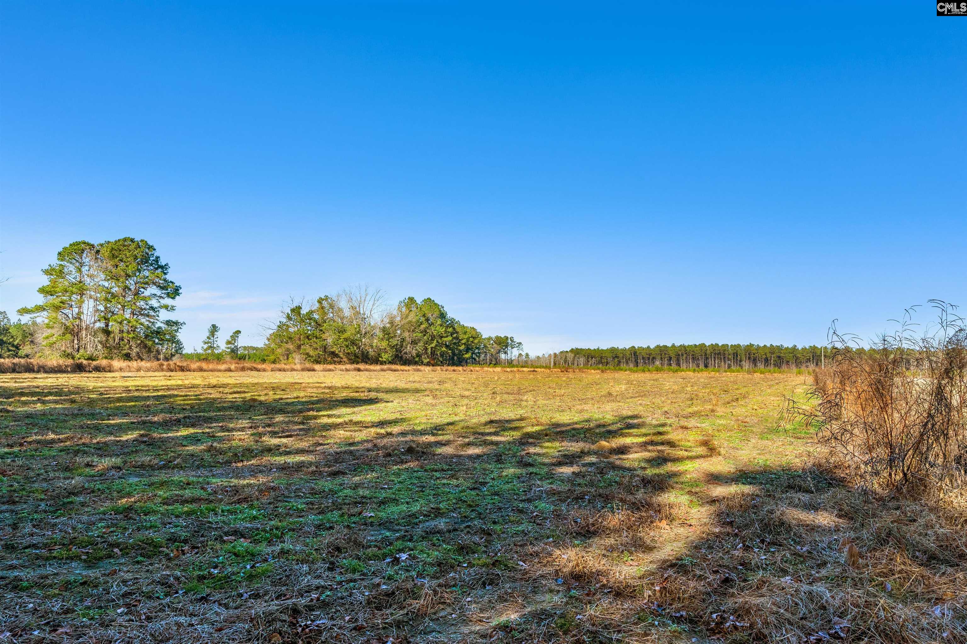 1745 Williams Hill Road #3, Hemingway, South Carolina image 14