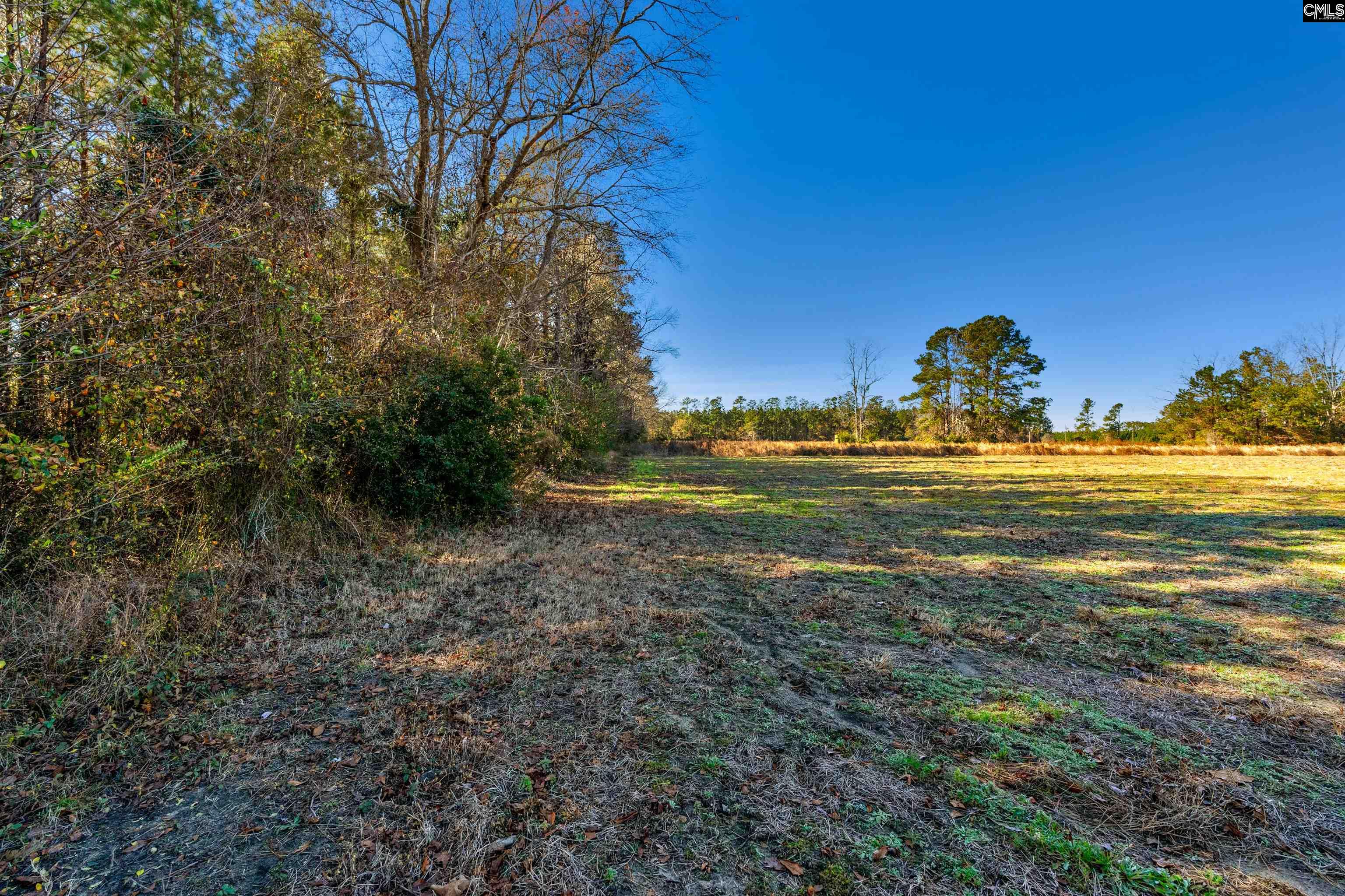 1745 Williams Hill Road #3, Hemingway, South Carolina image 15