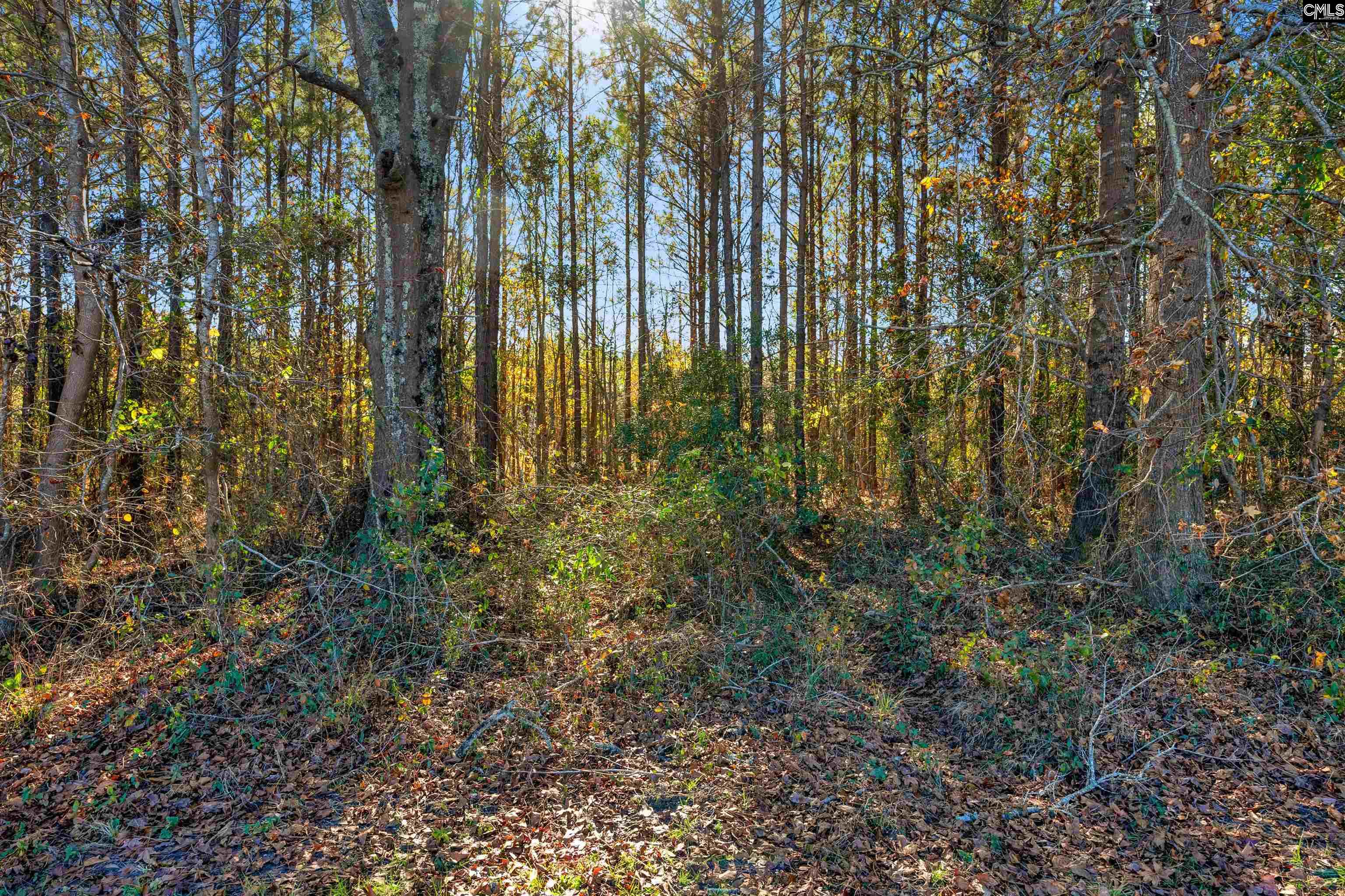 1745 Williams Hill Road #3, Hemingway, South Carolina image 16