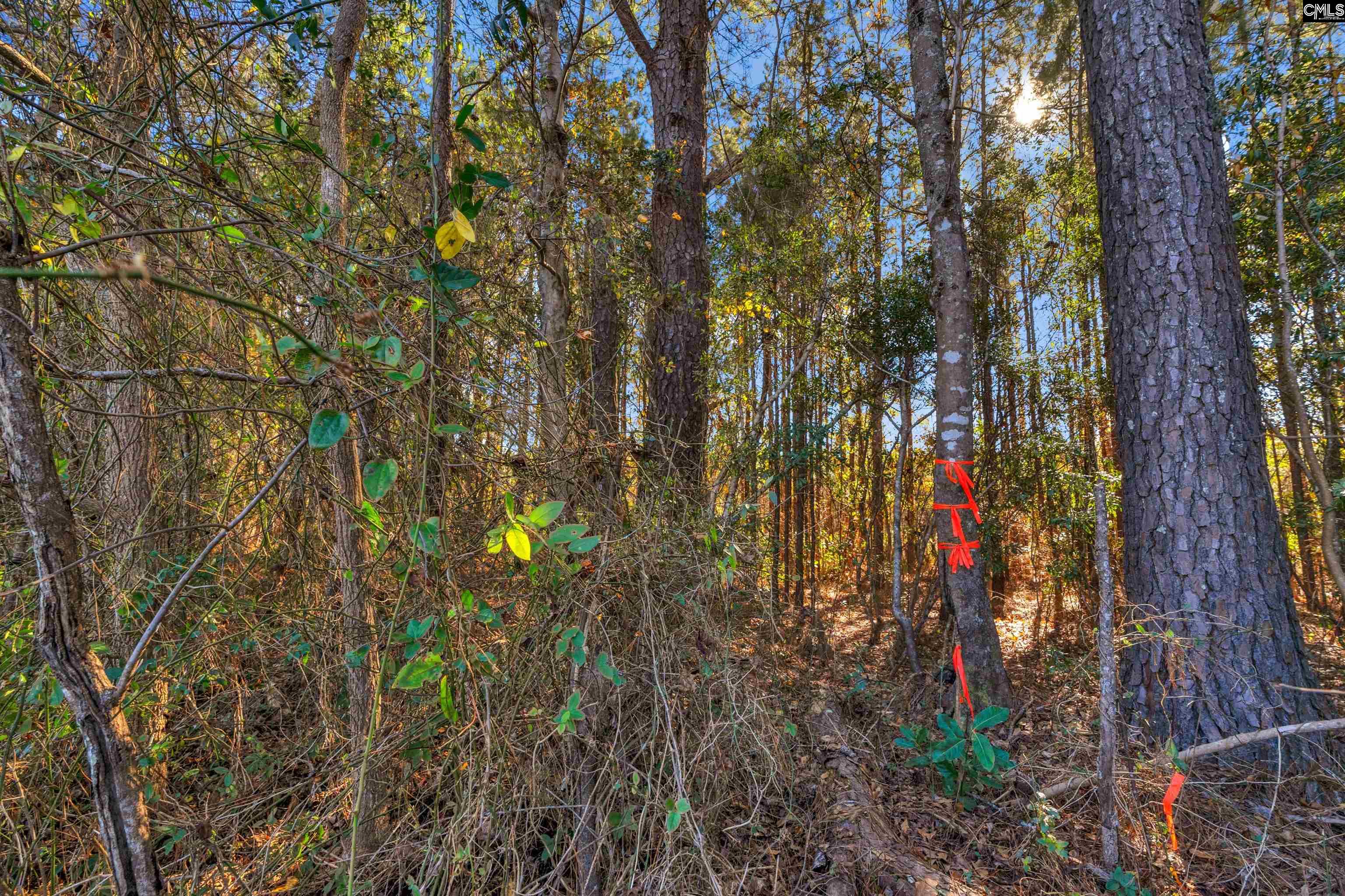 1745 Williams Hill Road #3, Hemingway, South Carolina image 17