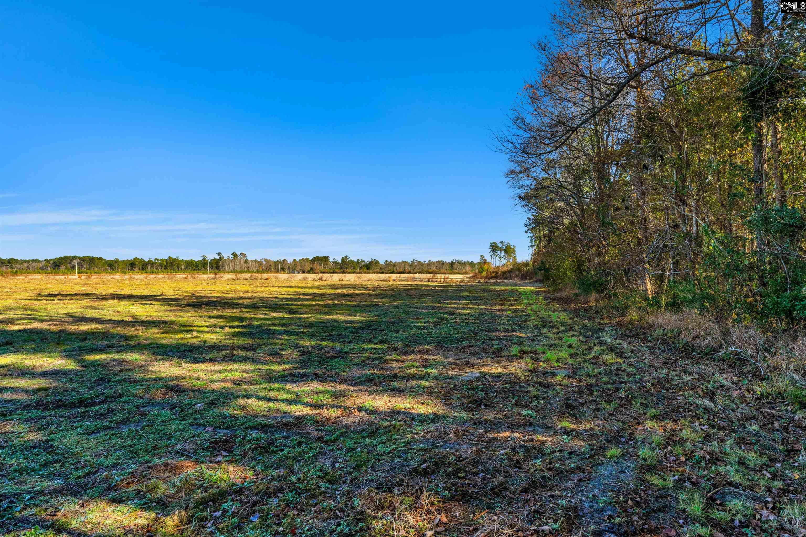 1745 Williams Hill Road #3, Hemingway, South Carolina image 18