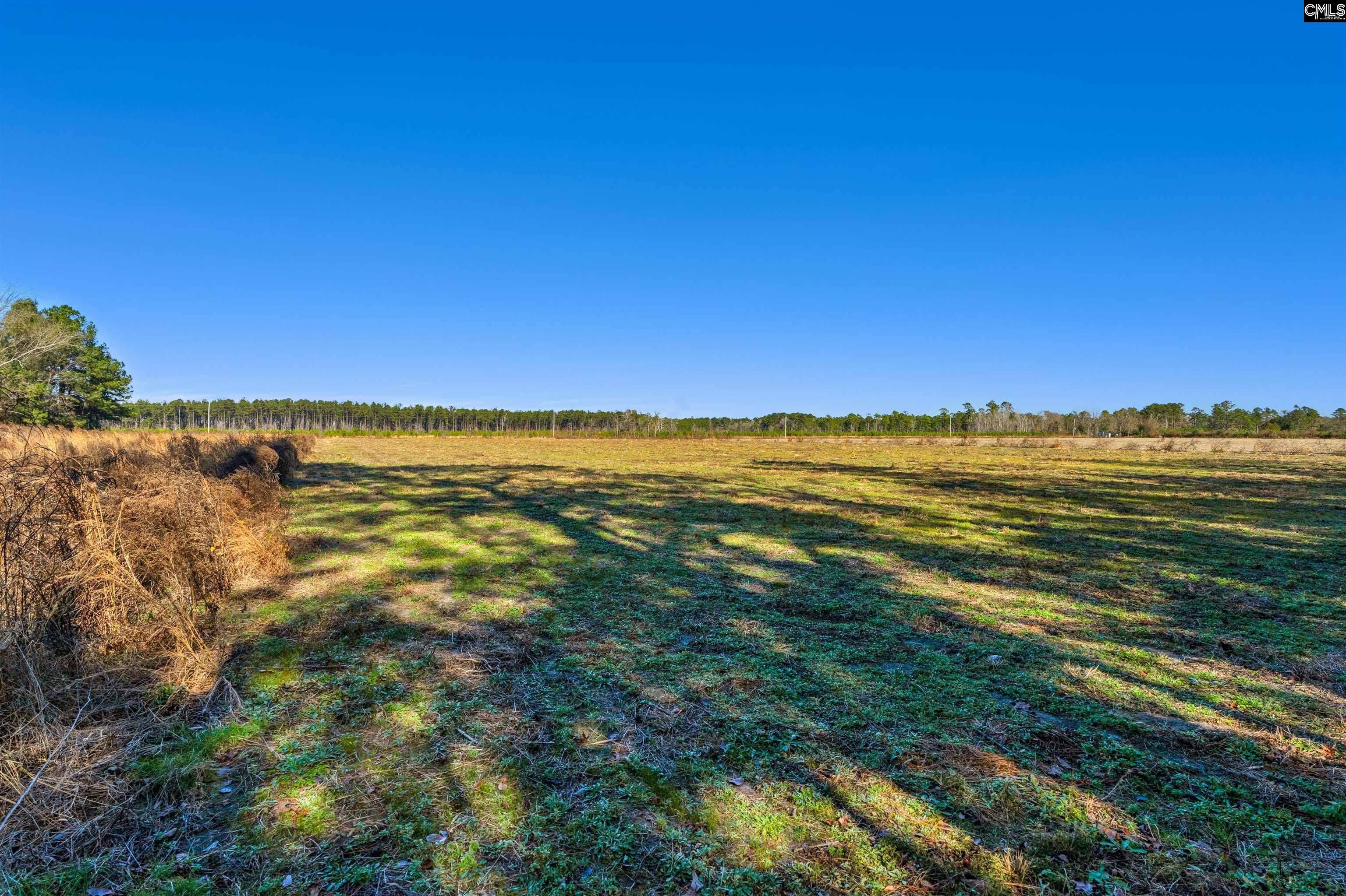 1745 Williams Hill Road #3, Hemingway, South Carolina image 19