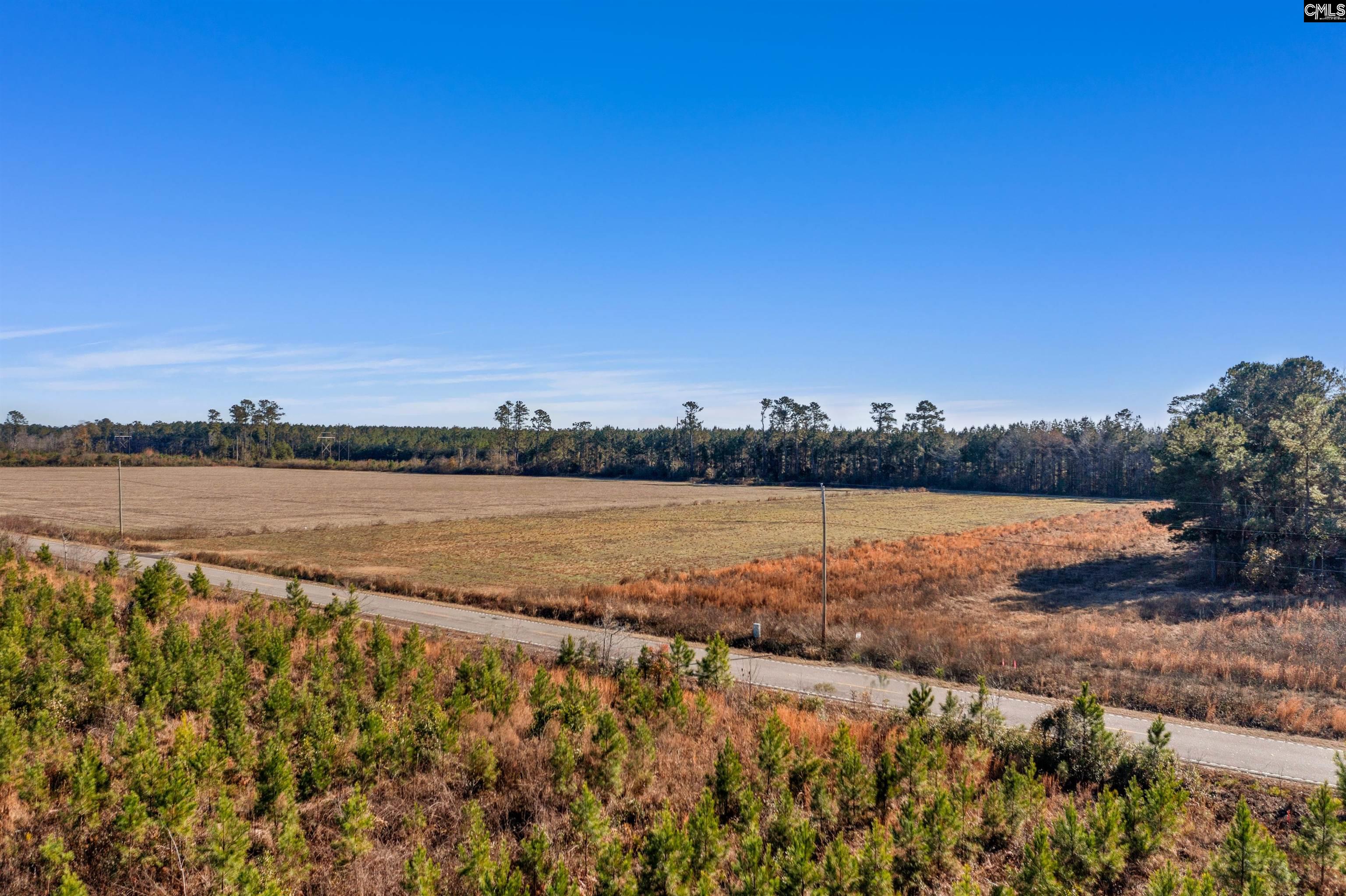 1745 Williams Hill Road #3, Hemingway, South Carolina image 3