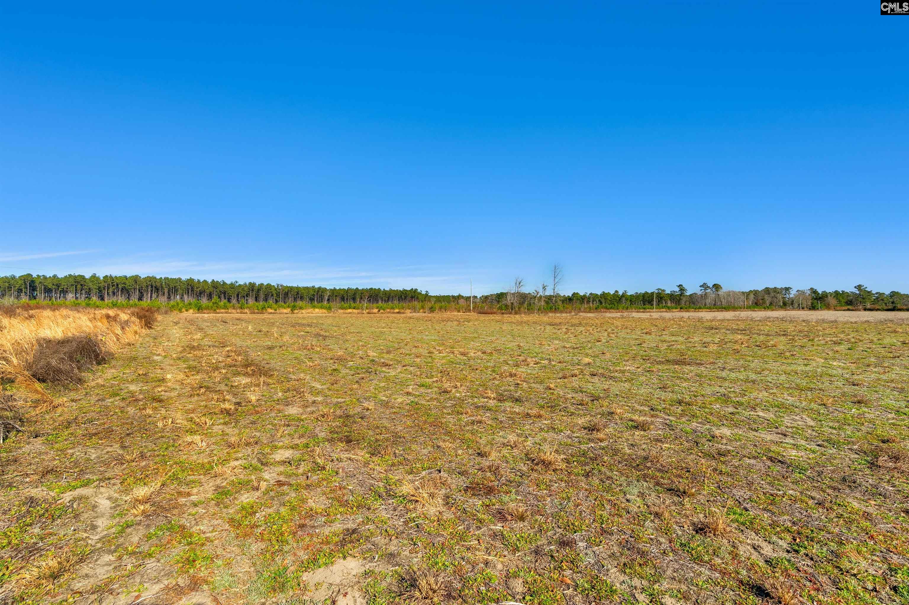 1745 Williams Hill Road #3, Hemingway, South Carolina image 21