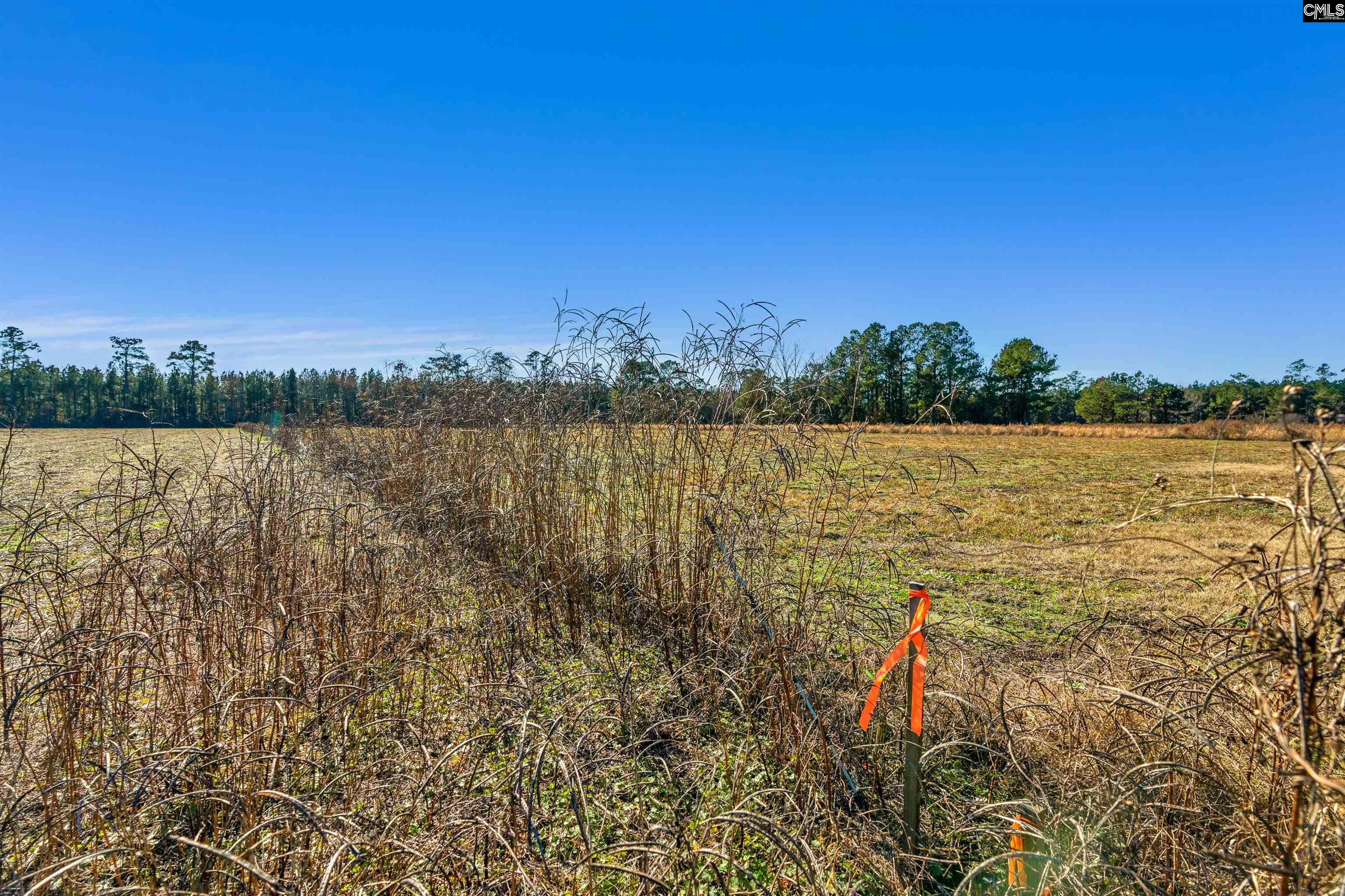 1745 Williams Hill Road #3, Hemingway, South Carolina image 23