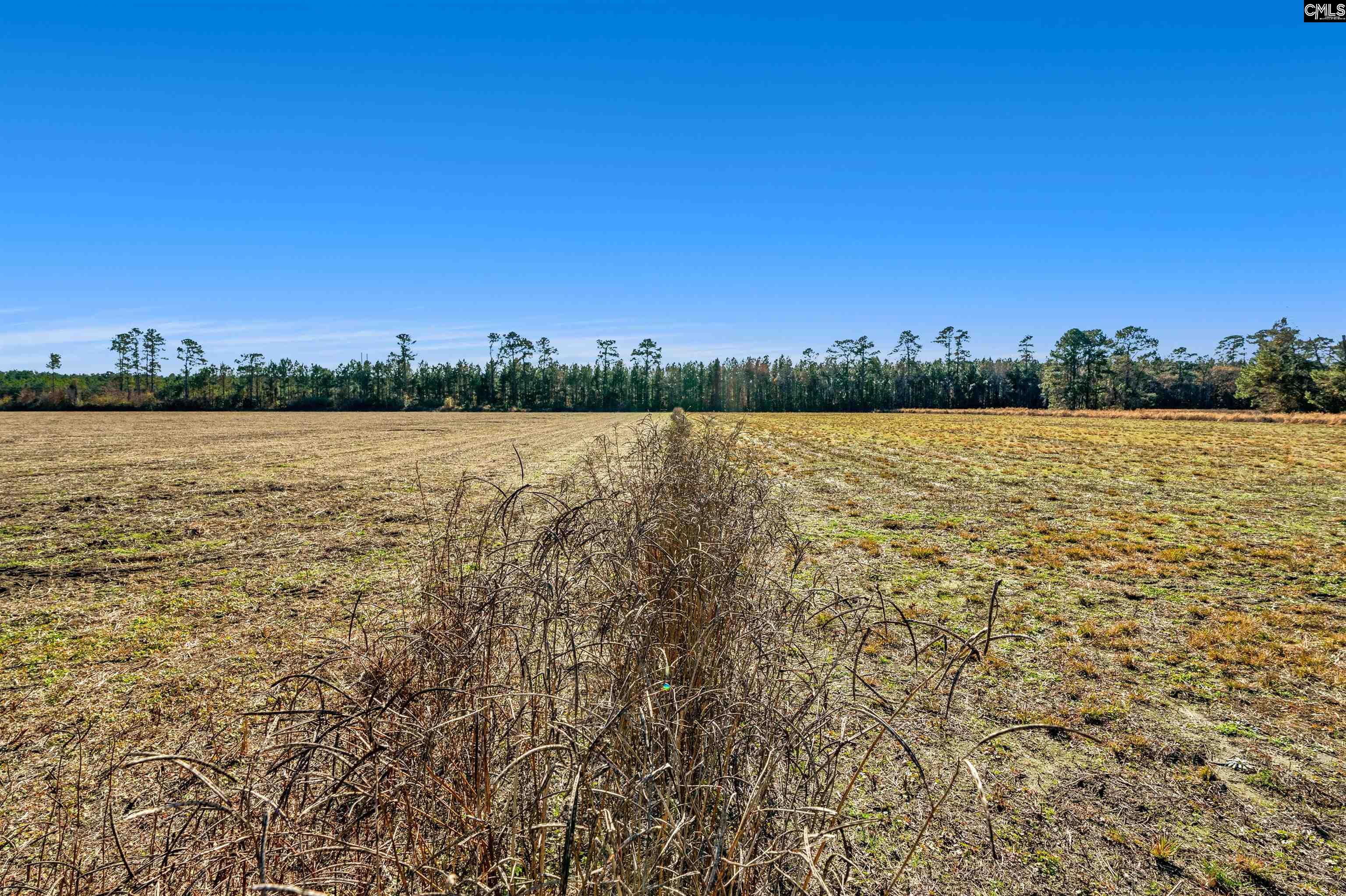 1745 Williams Hill Road #3, Hemingway, South Carolina image 24
