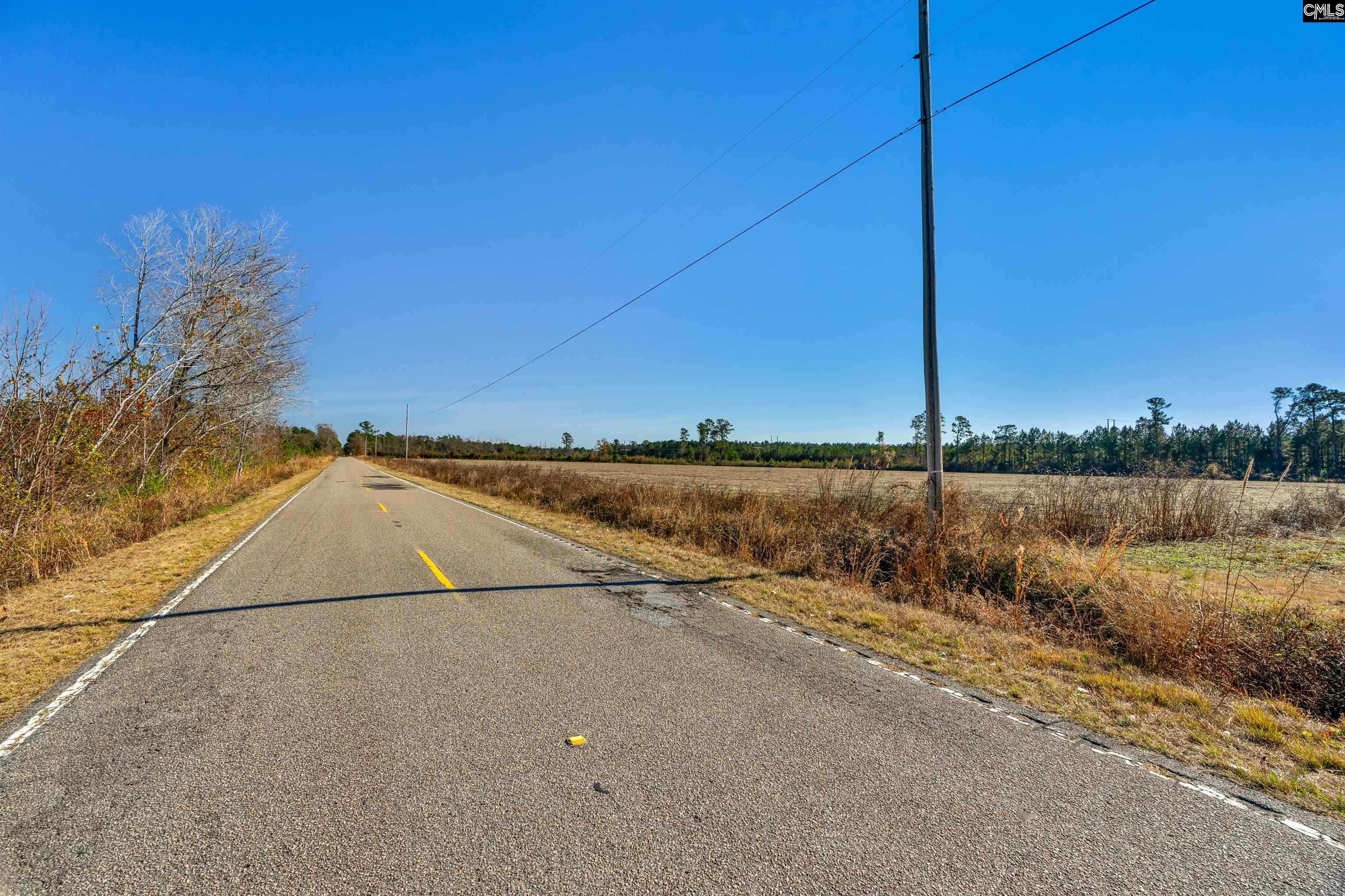 1745 Williams Hill Road #3, Hemingway, South Carolina image 25
