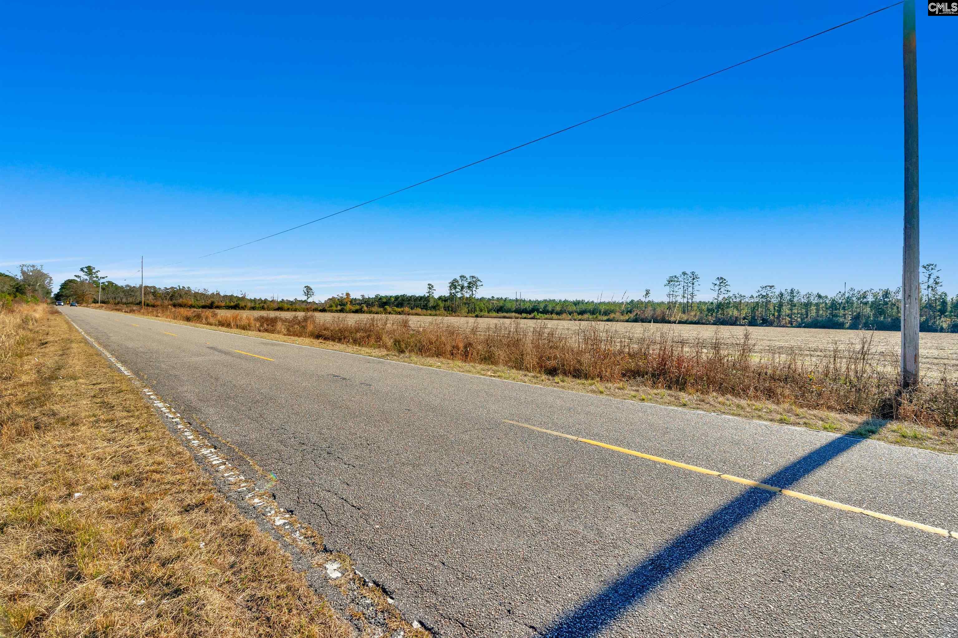 1745 Williams Hill Road #3, Hemingway, South Carolina image 29