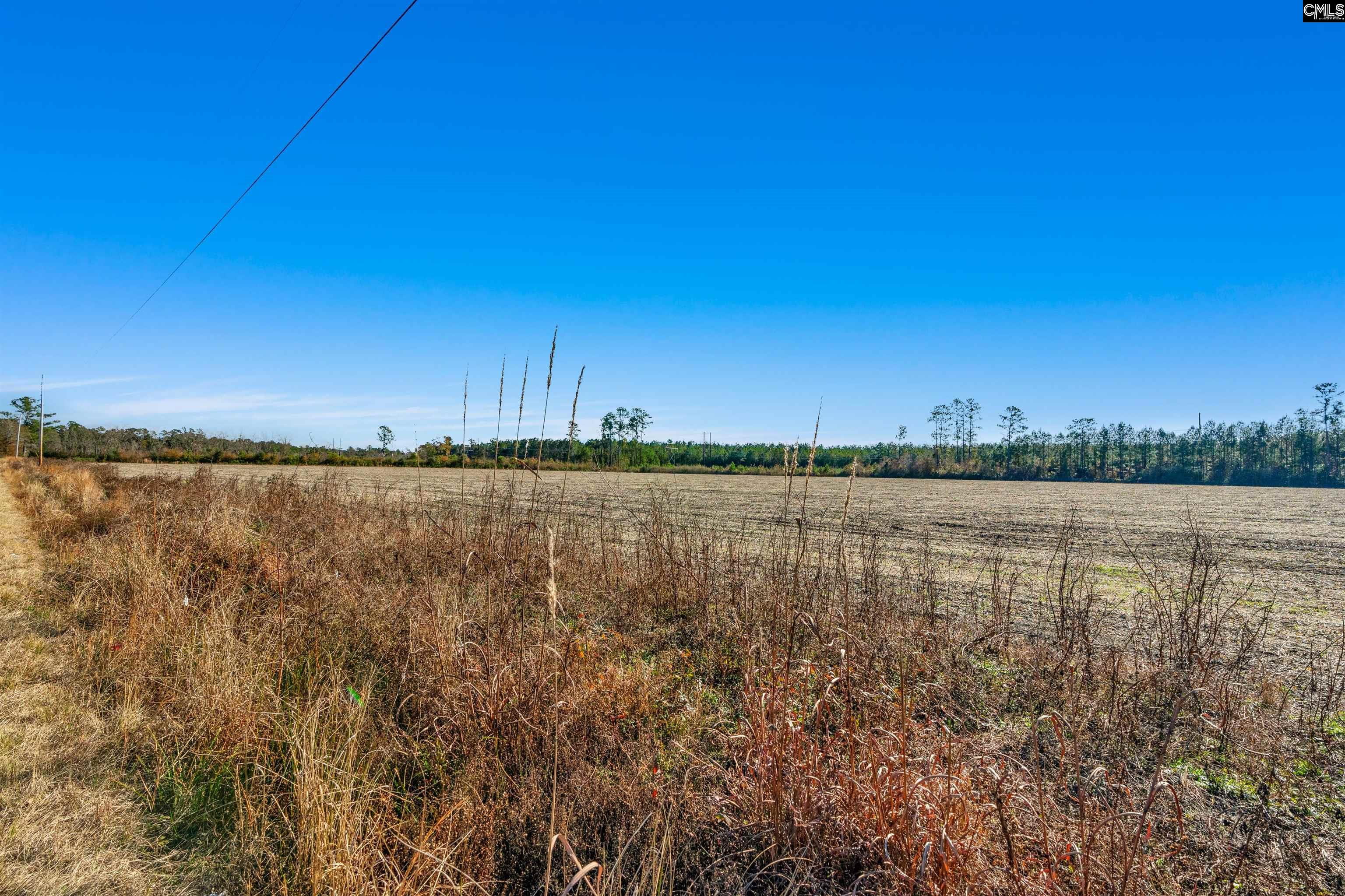 1745 Williams Hill Road #3, Hemingway, South Carolina image 30