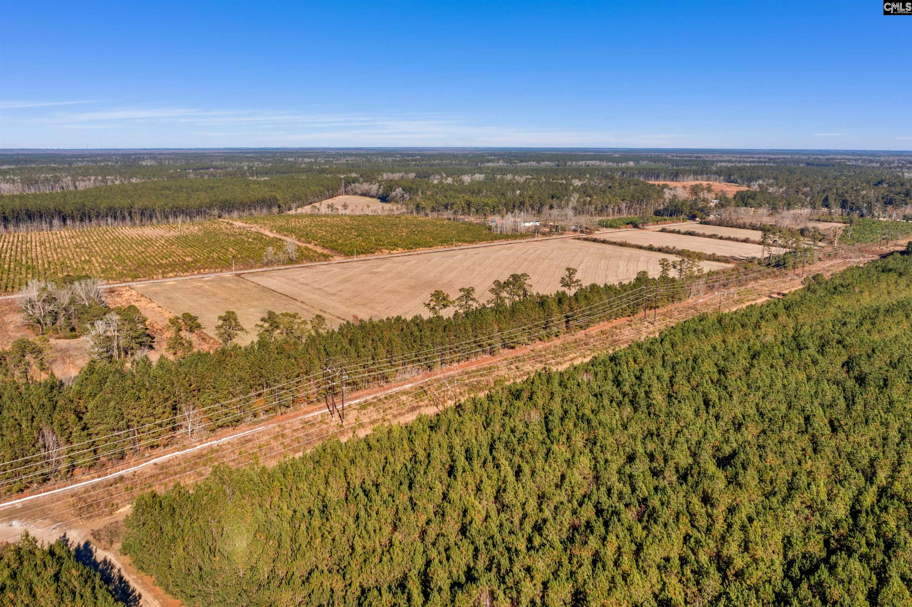 1745 Williams Hill Road #3, Hemingway, South Carolina image 4