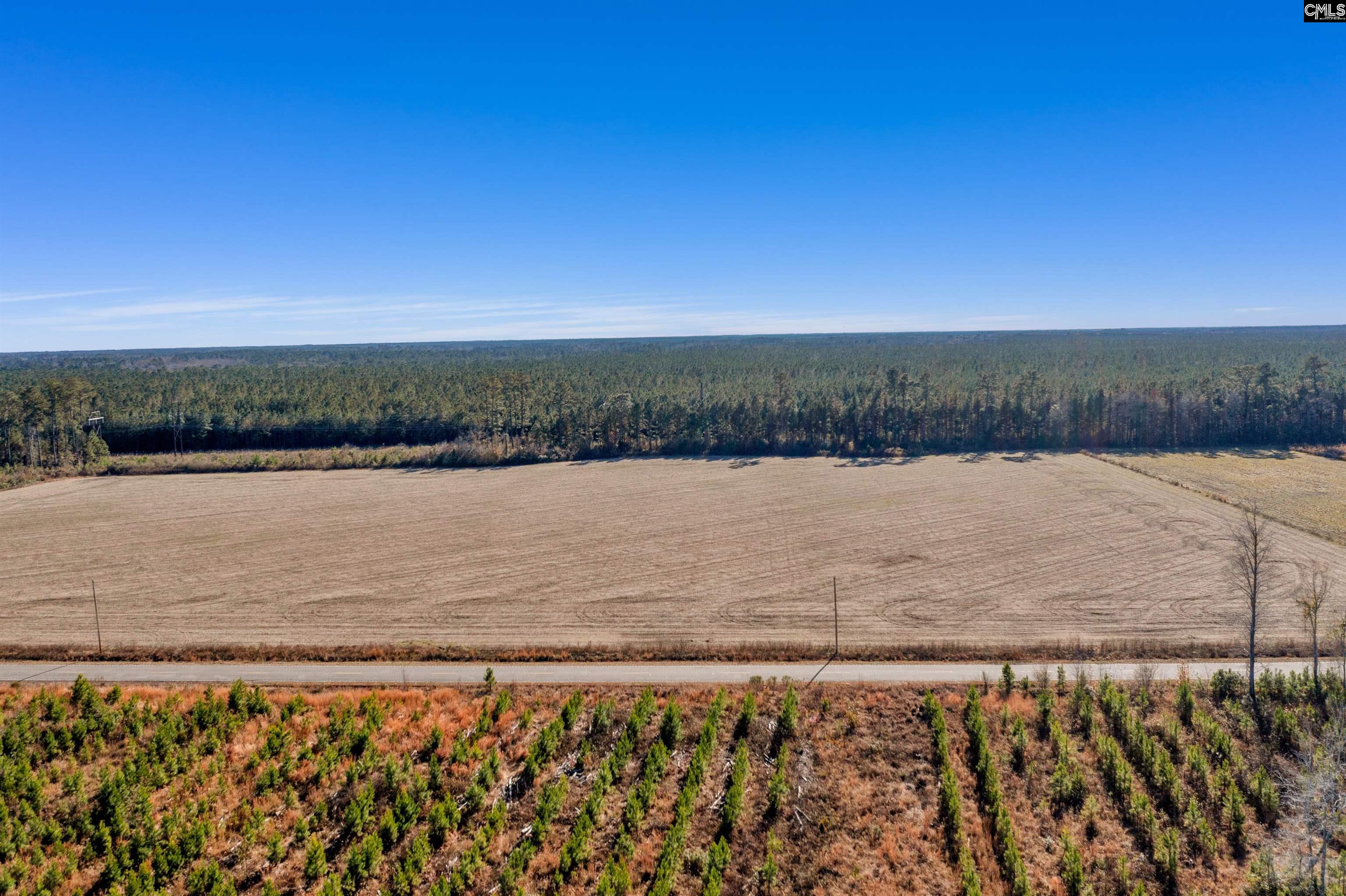 1745 Williams Hill Road #3, Hemingway, South Carolina image 6