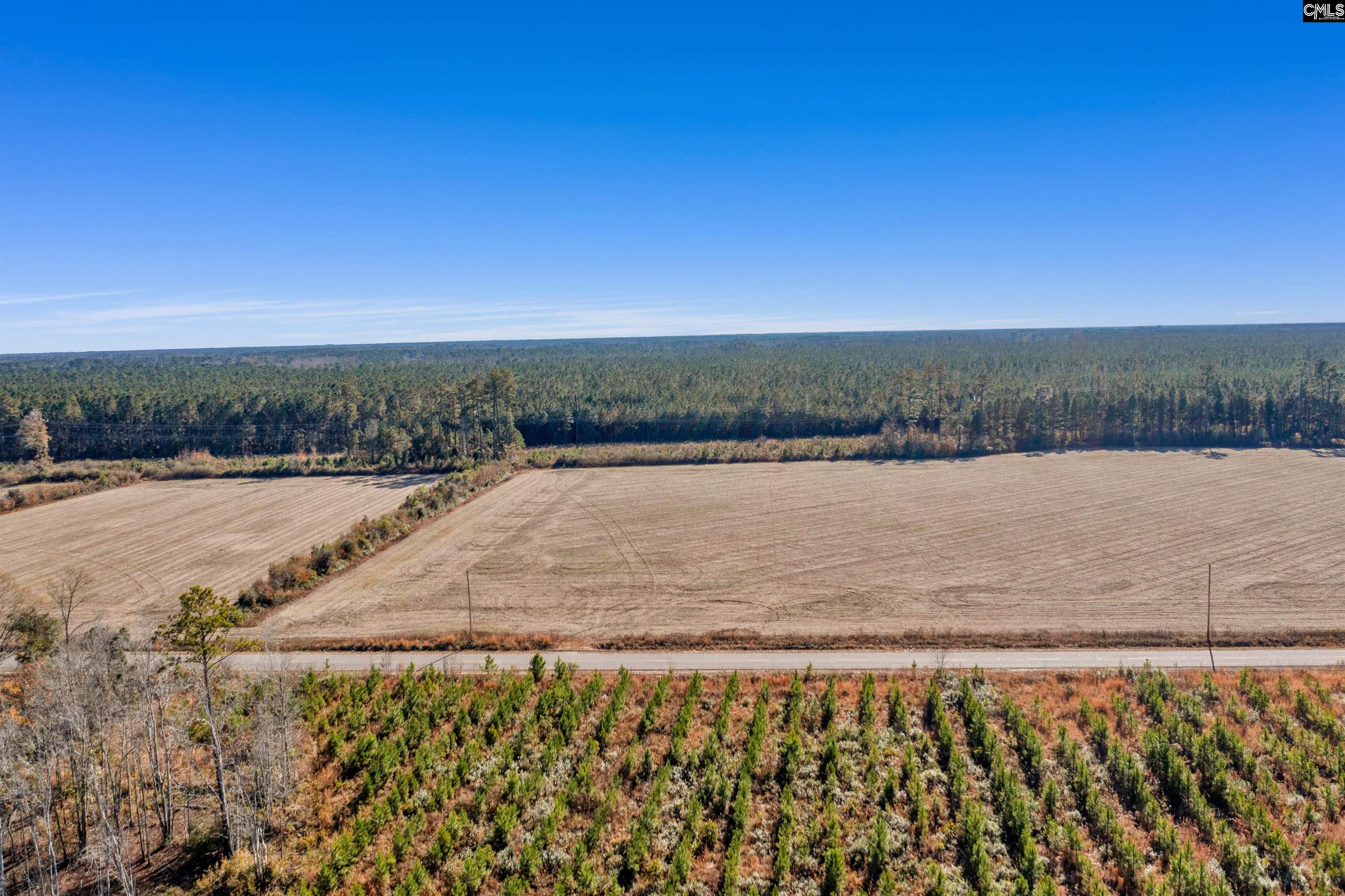 1745 Williams Hill Road #3, Hemingway, South Carolina image 7