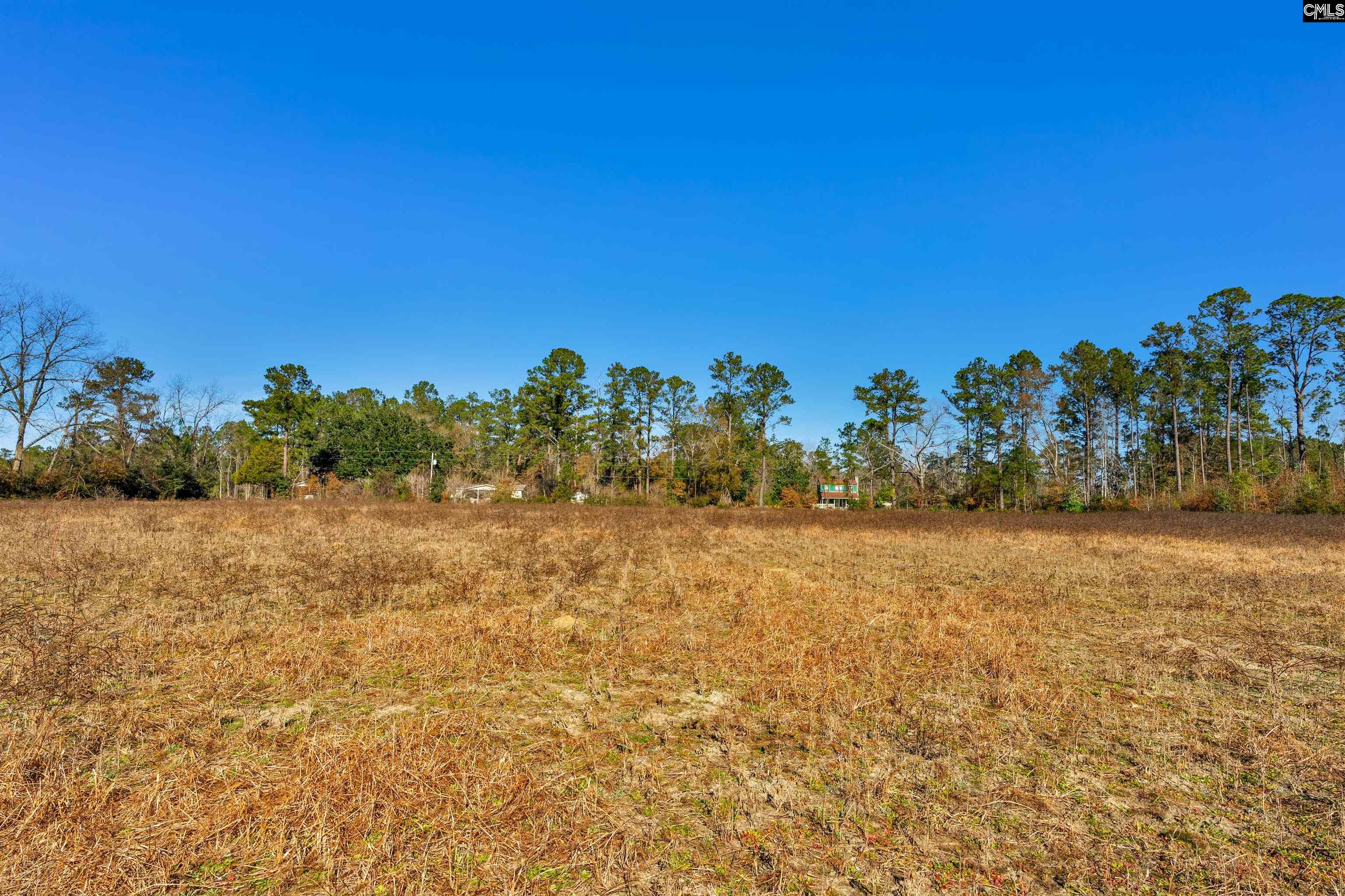 1745 Williams Hill Road #3, Hemingway, South Carolina image 8