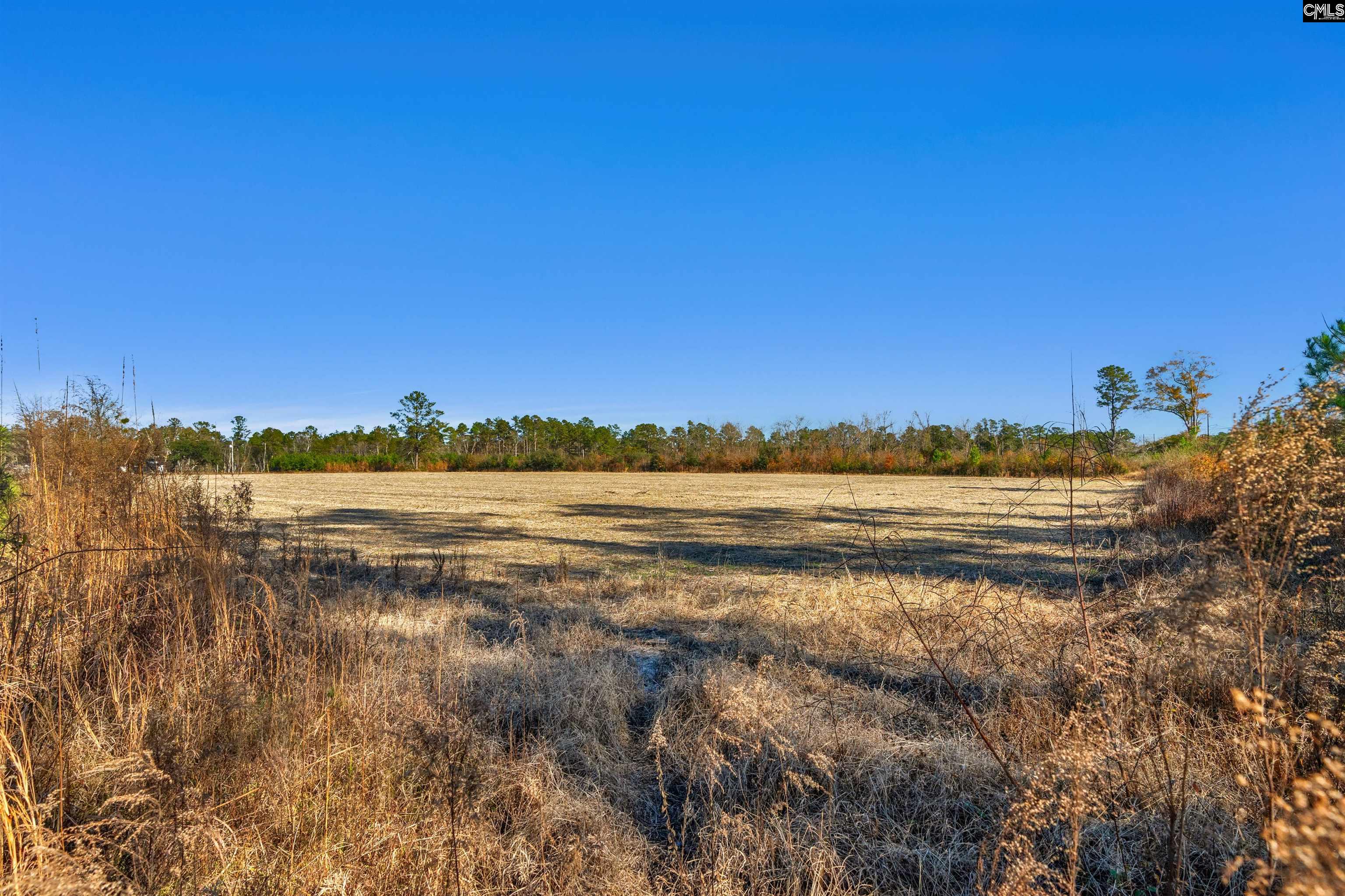 1745 Williams Hill Road #3, Hemingway, South Carolina image 9