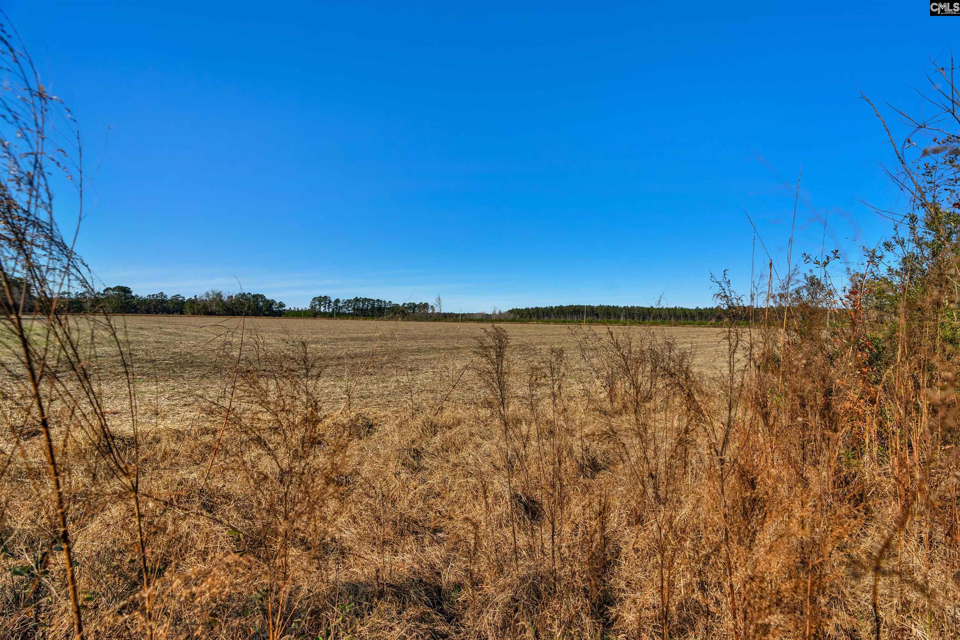 1745 Williams Hill Road #3, Hemingway, South Carolina image 10