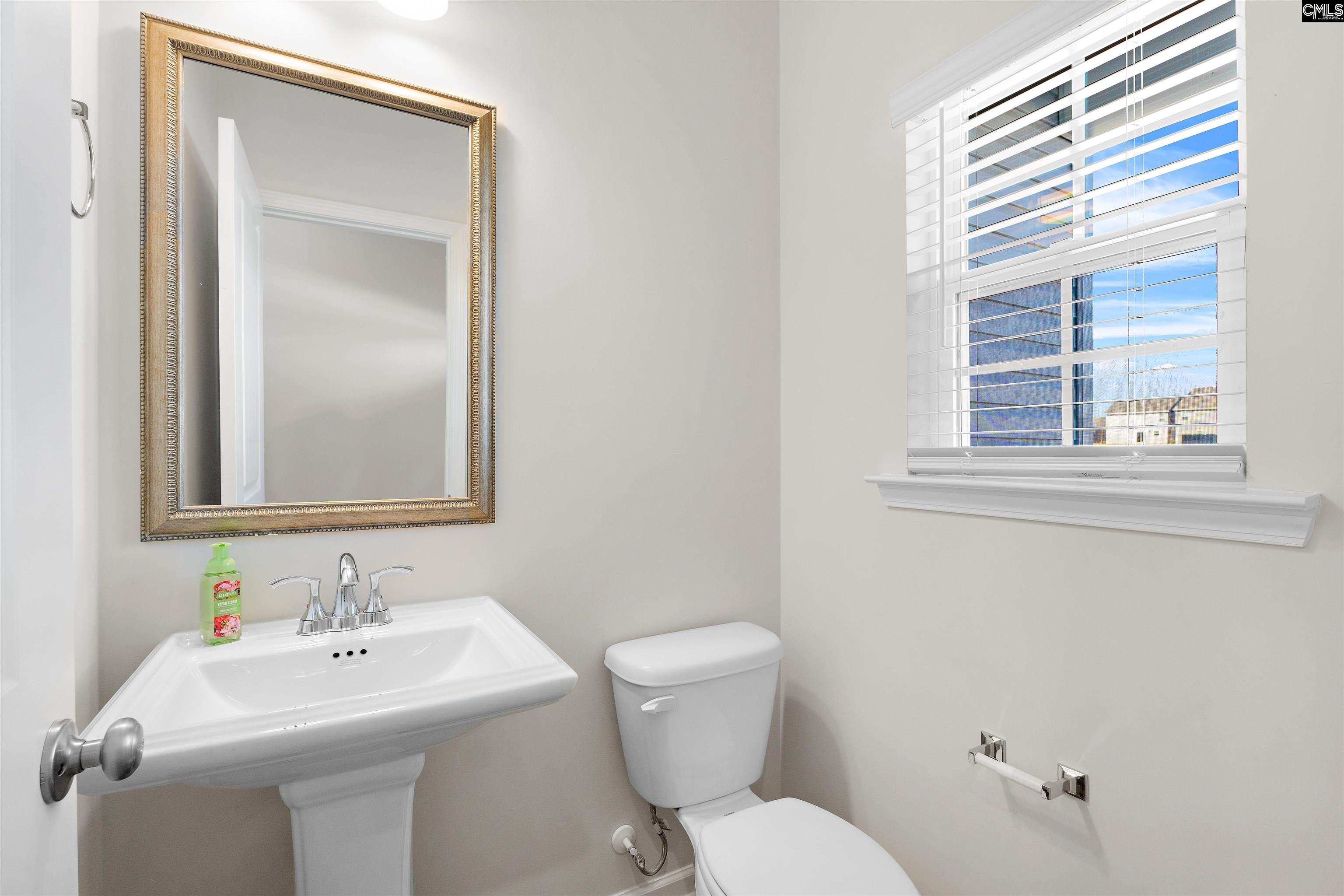 260 South Lake Court, Lexington, South Carolina image 3