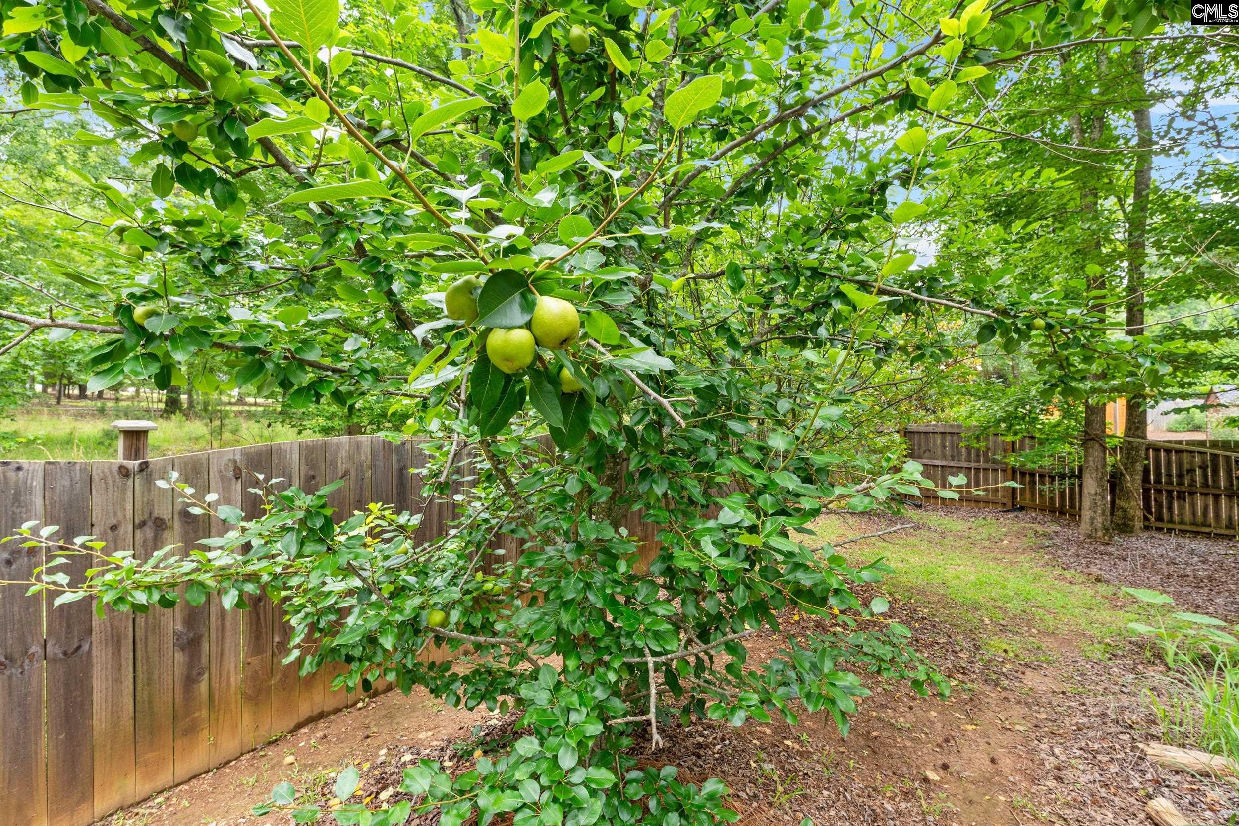 122 Lost Lure Lane, Chapin, South Carolina image 45
