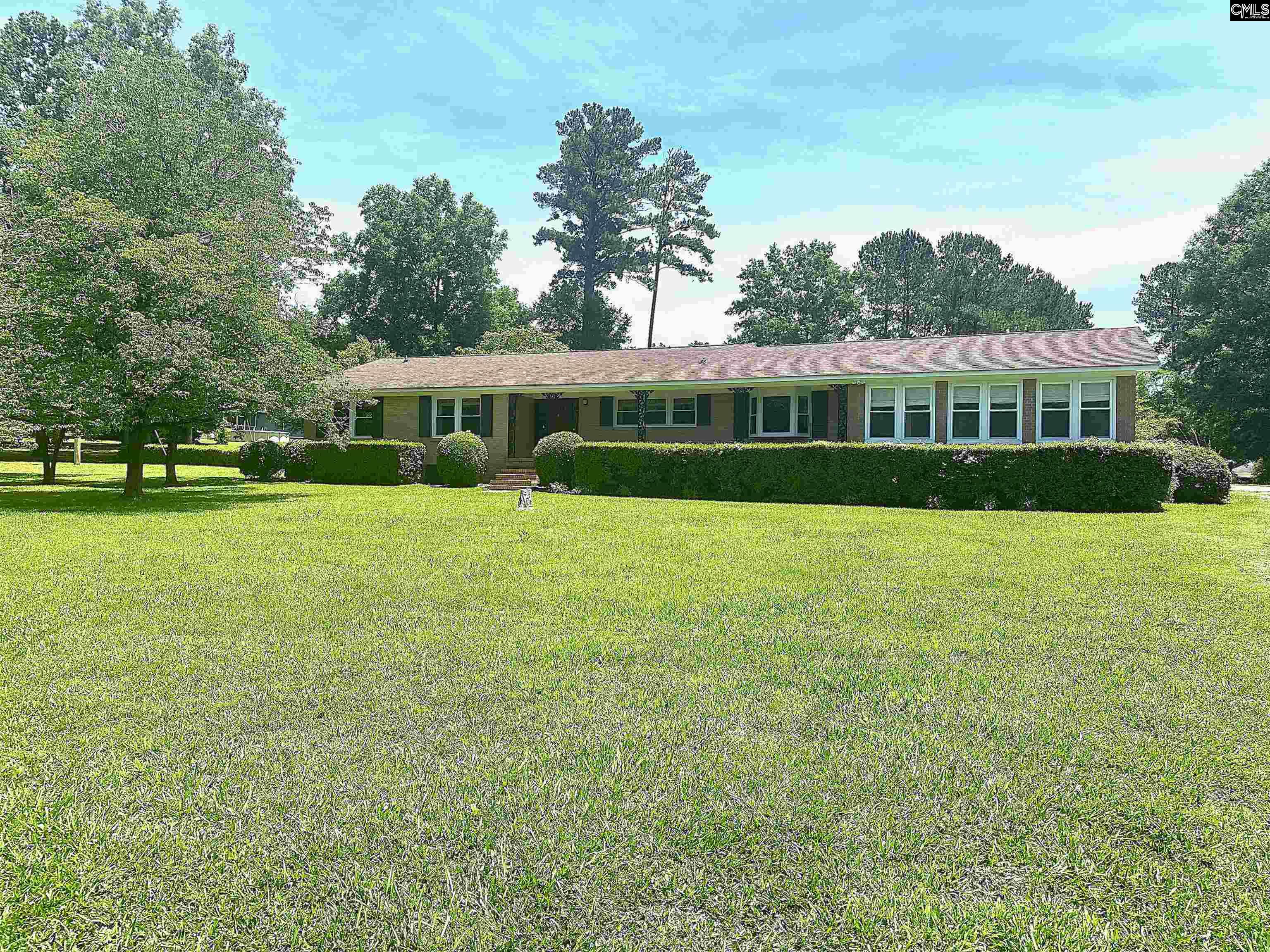 535 Sandbar Road, Chapin, South Carolina image 1