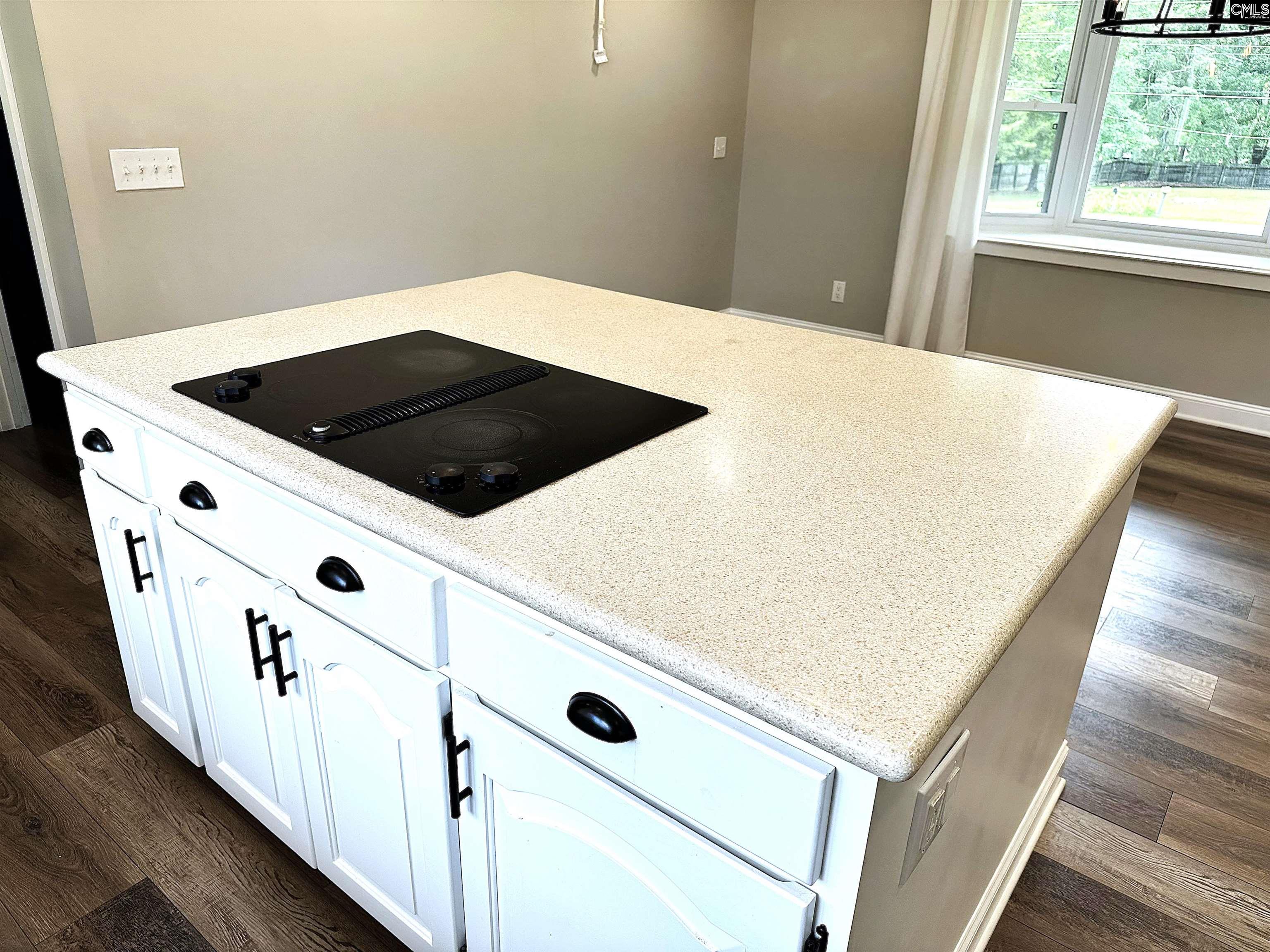 535 Sandbar Road, Chapin, South Carolina image 10