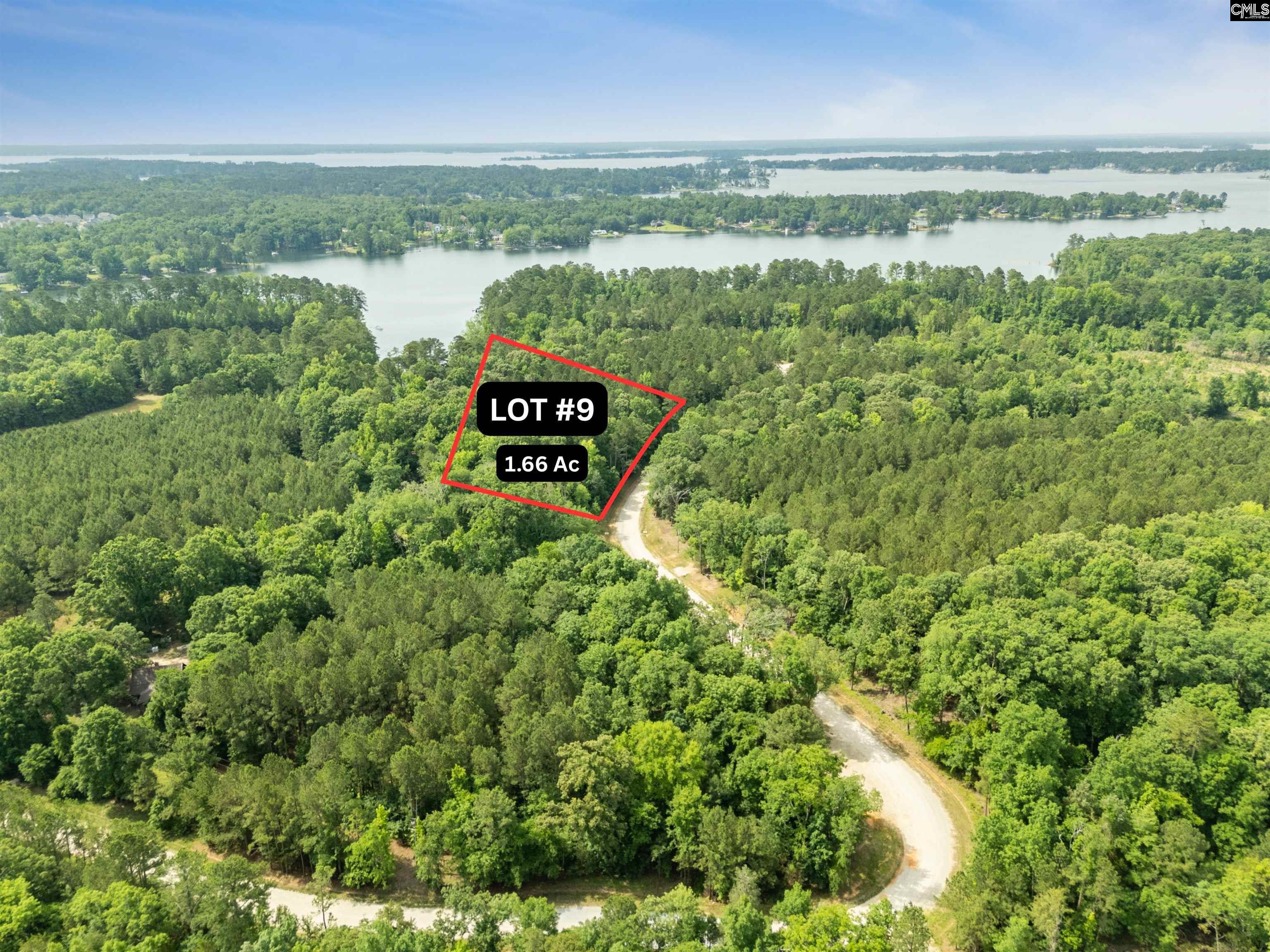 719 Clipper Trail, Chapin, South Carolina image 1