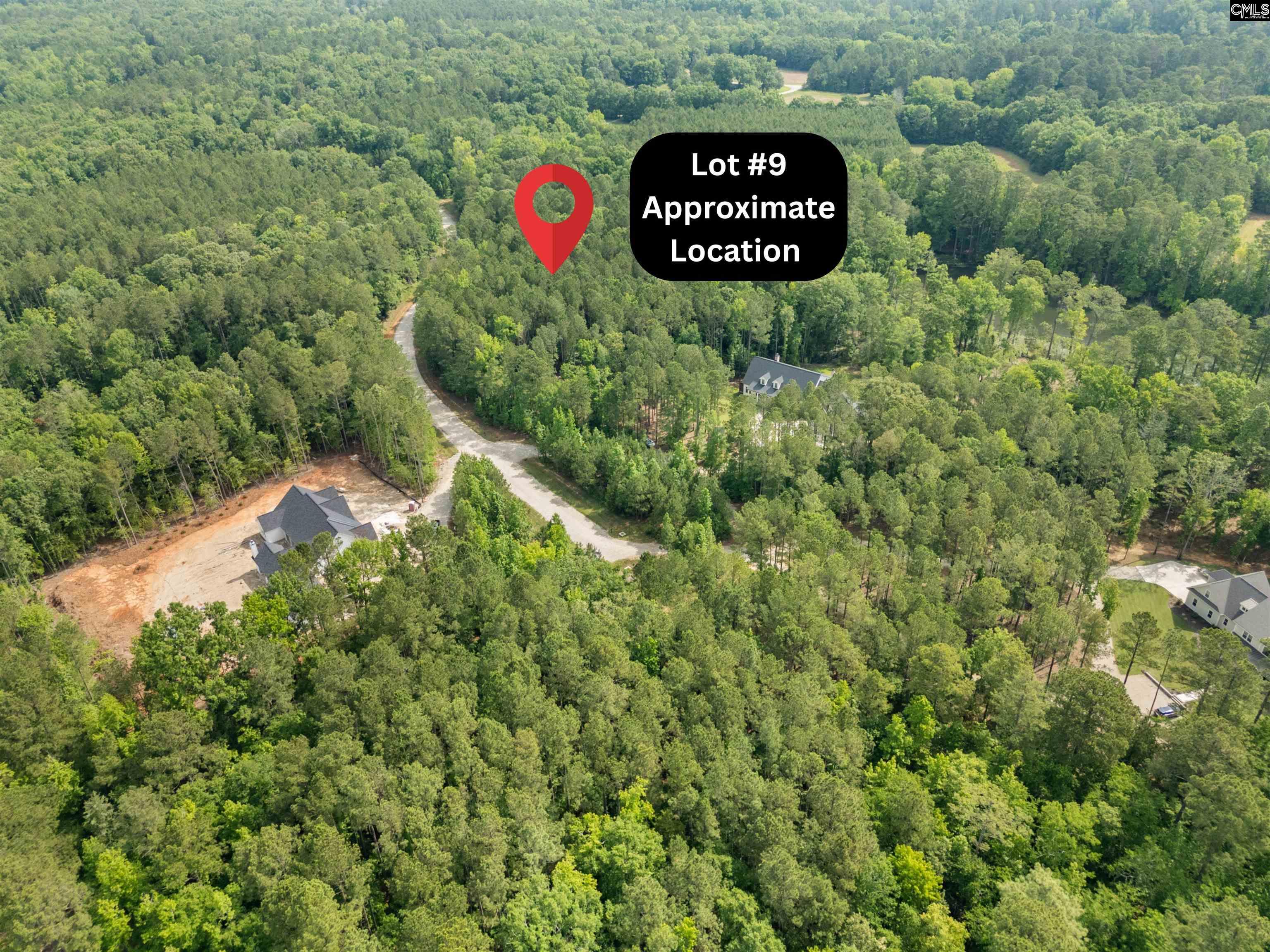 719 Clipper Trail, Chapin, South Carolina image 7