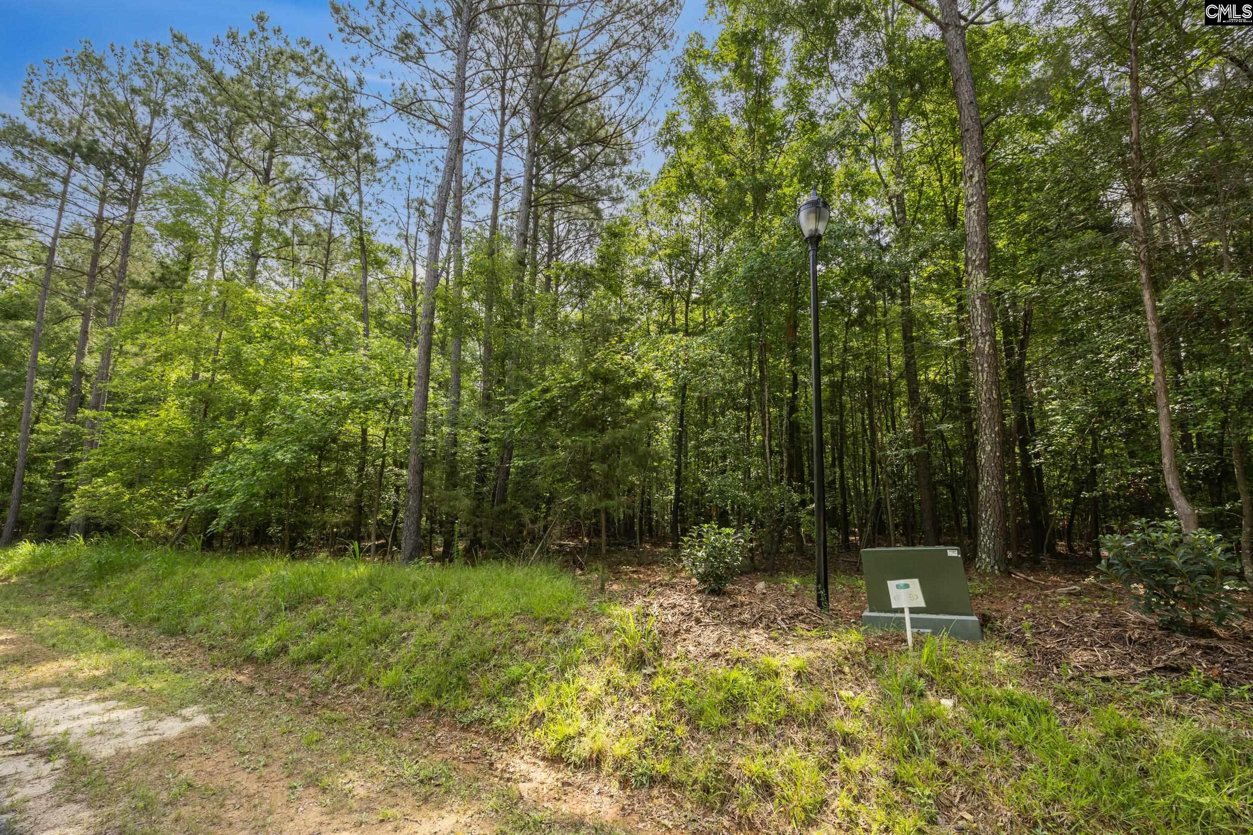 719 Clipper Trail, Chapin, South Carolina image 8