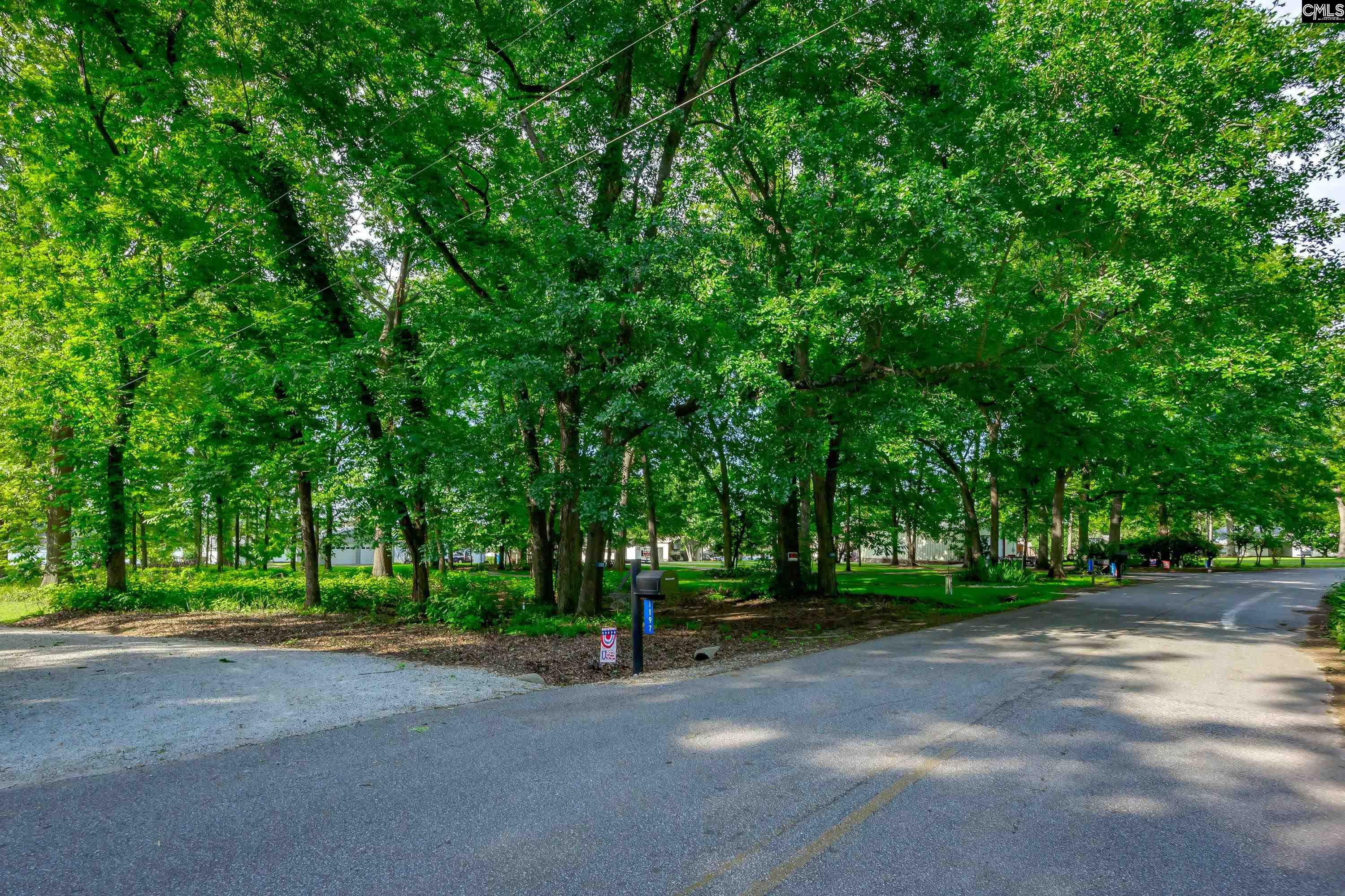 10 Newberry Drive, Prosperity, South Carolina image 12