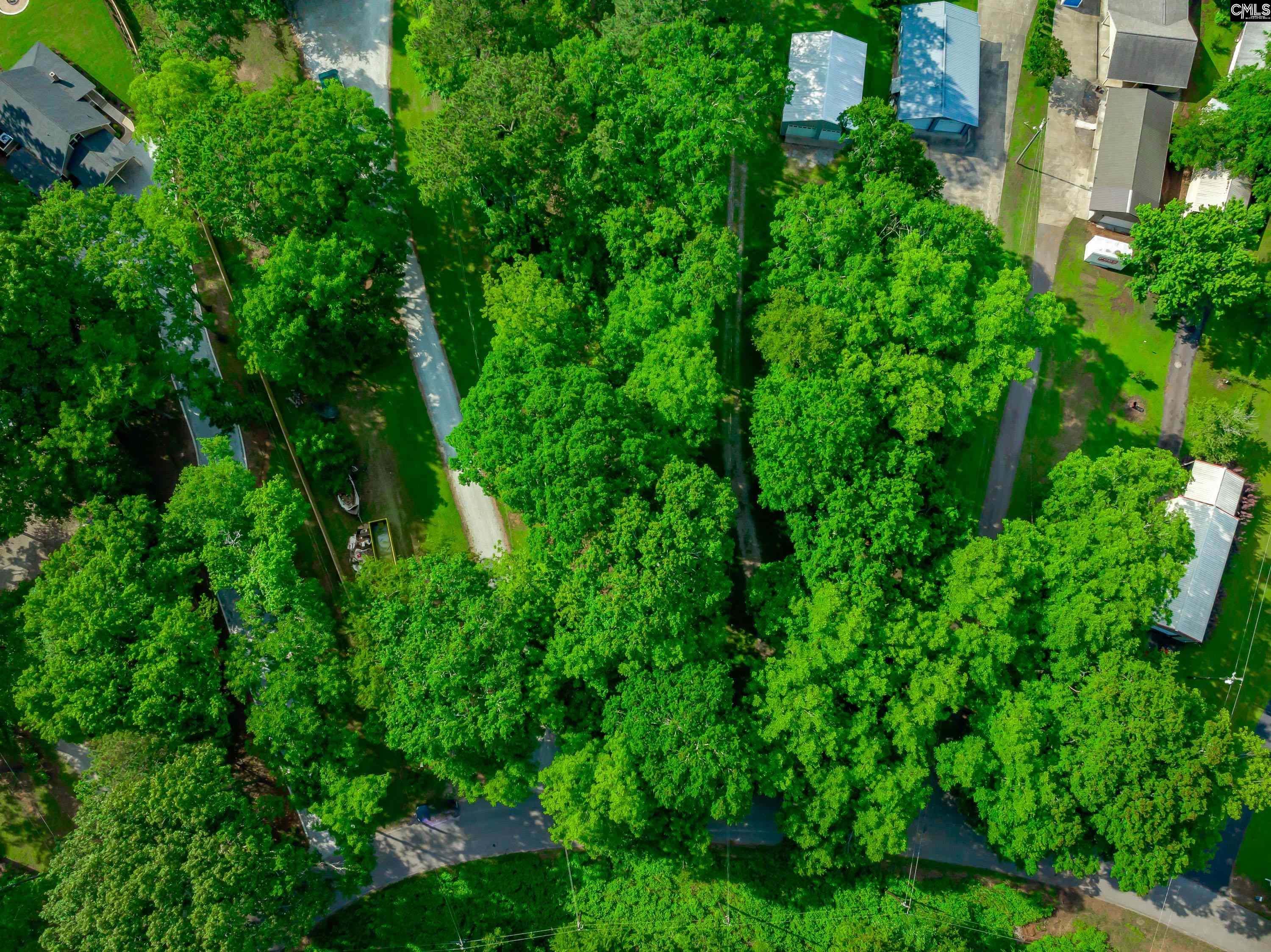 10 Newberry Drive, Prosperity, South Carolina image 21