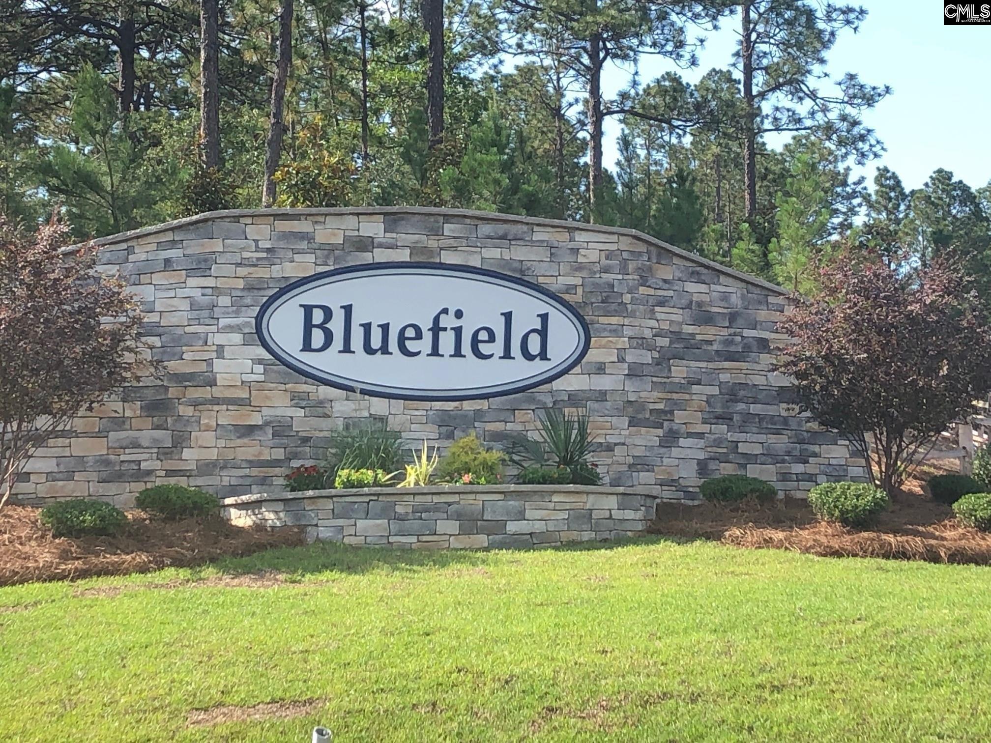 2709 Emonds Field Lane, Lexington, South Carolina image 2