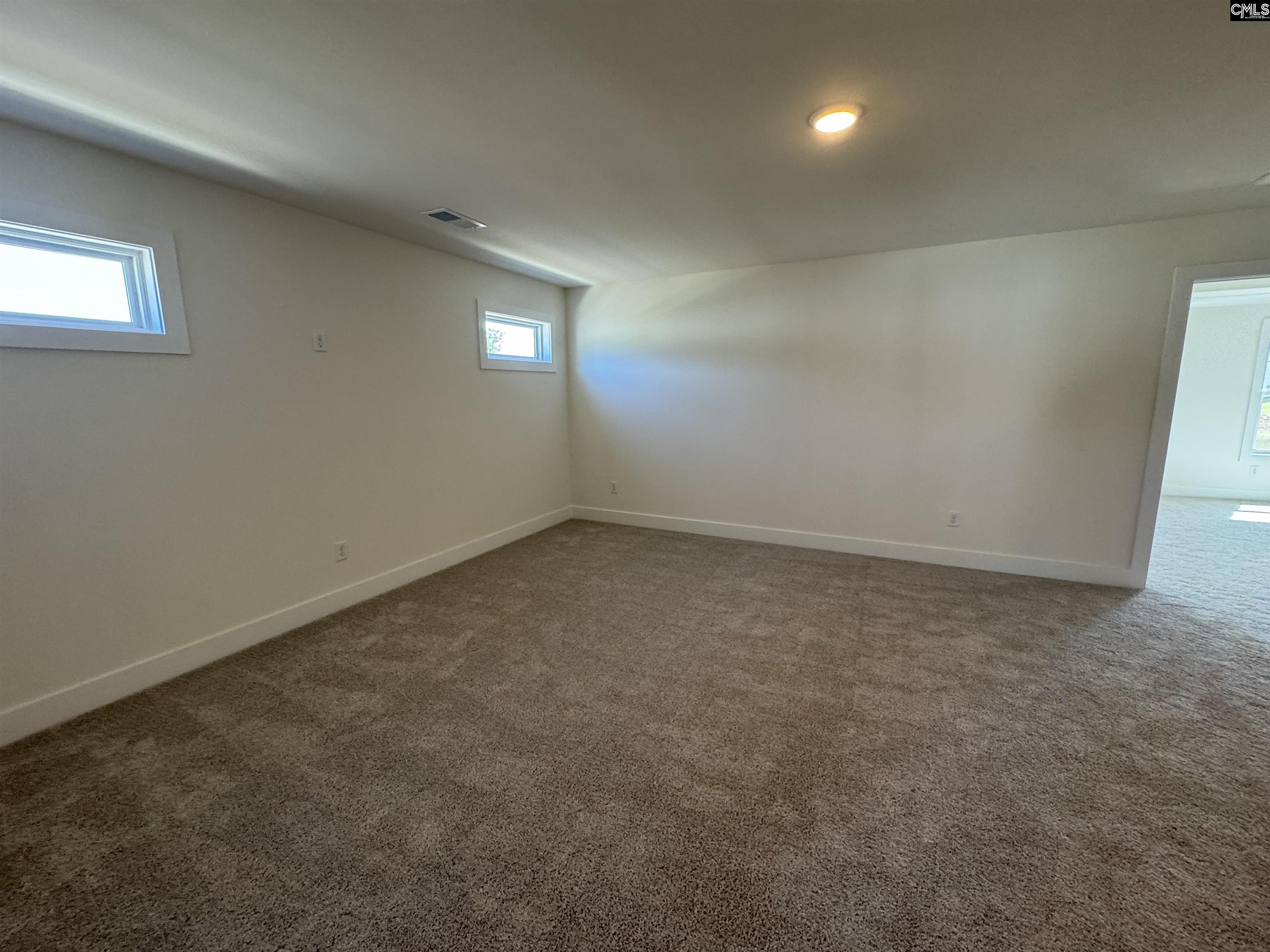 522 Griffon Drive Chapin, SC 29036