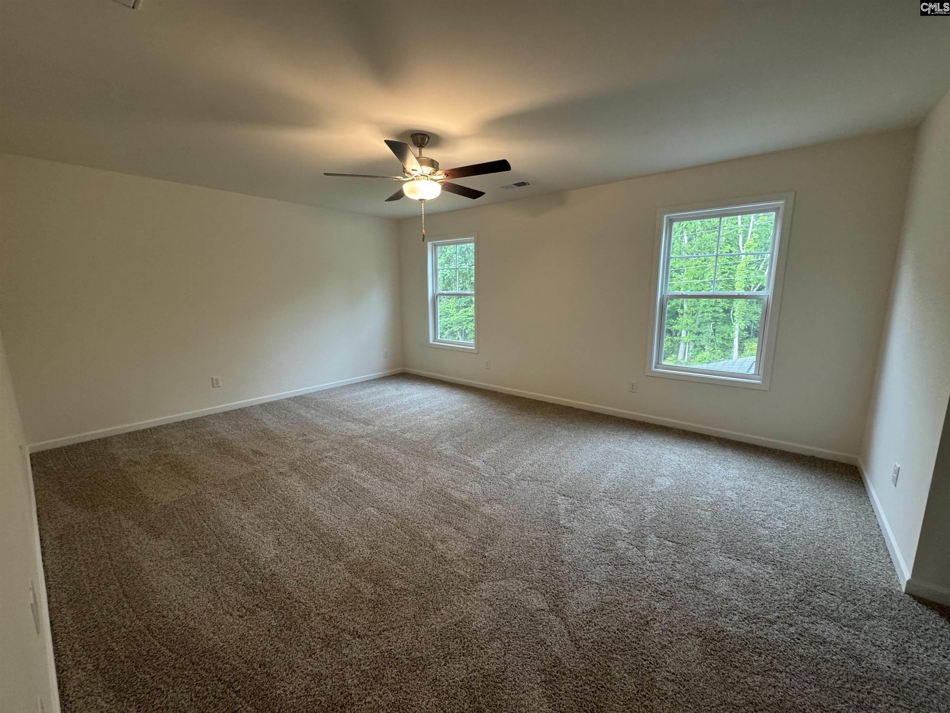 522 Griffon Drive, Chapin, South Carolina image 13
