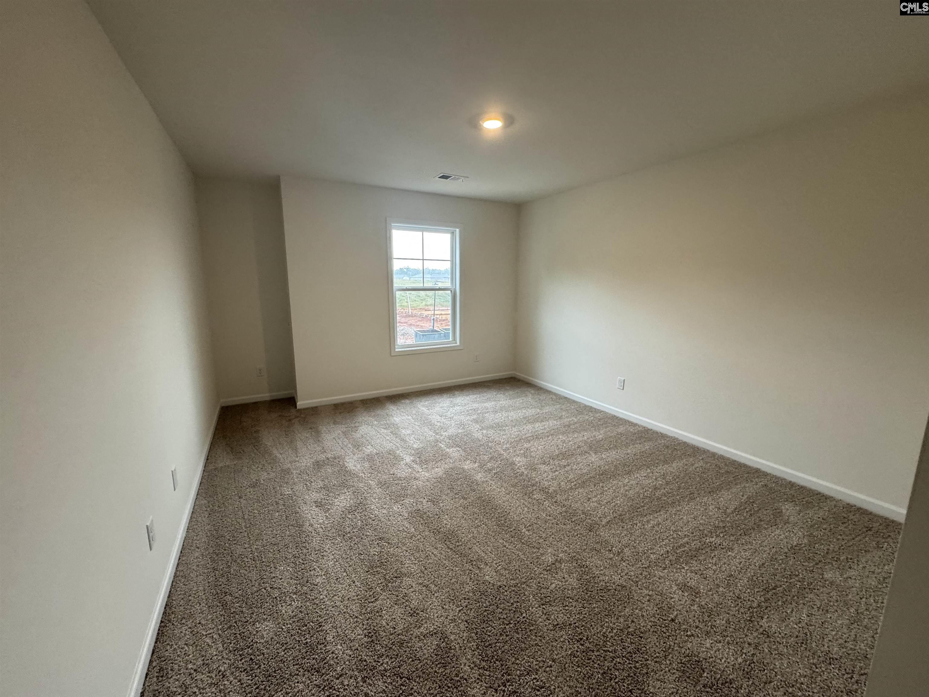 522 Griffon Drive, Chapin, South Carolina image 17