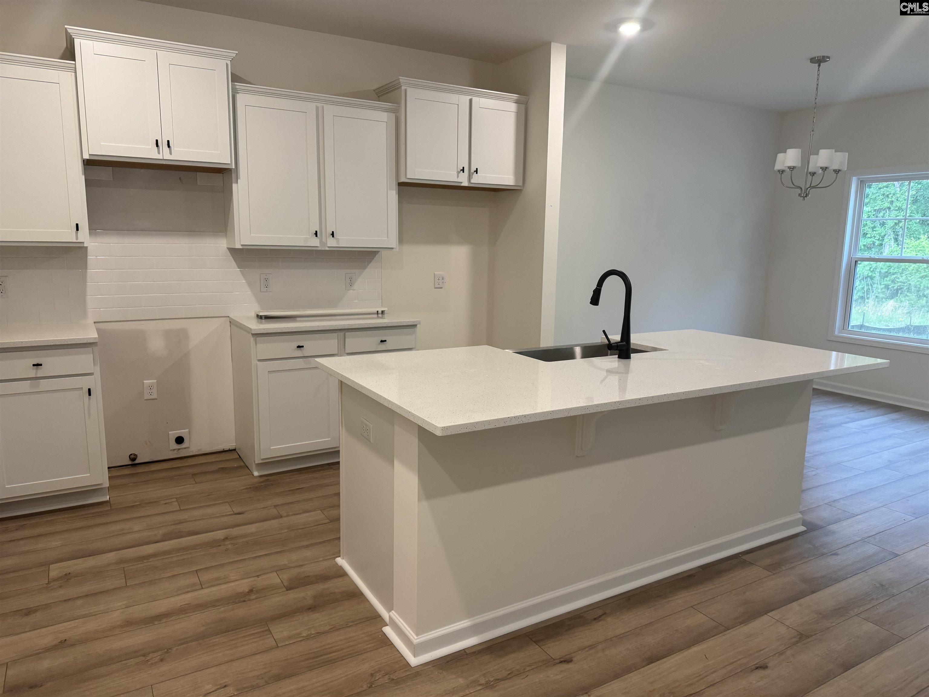 522 Griffon Drive, Chapin, South Carolina image 3