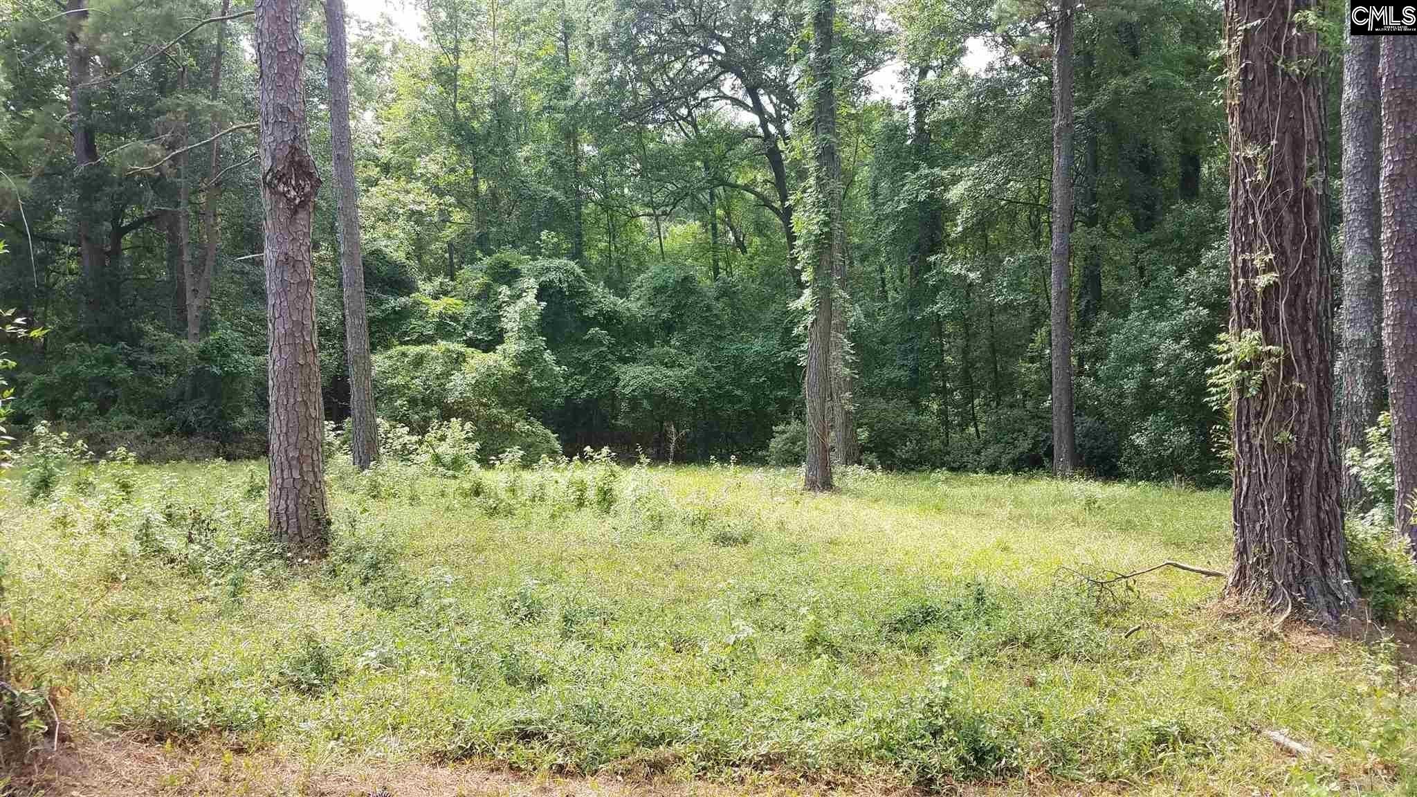 2441 N Lake Drive Columbia, SC 29212