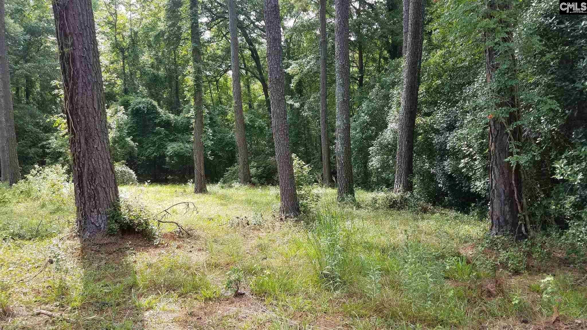 2441 N Lake Drive Columbia, SC 29212
