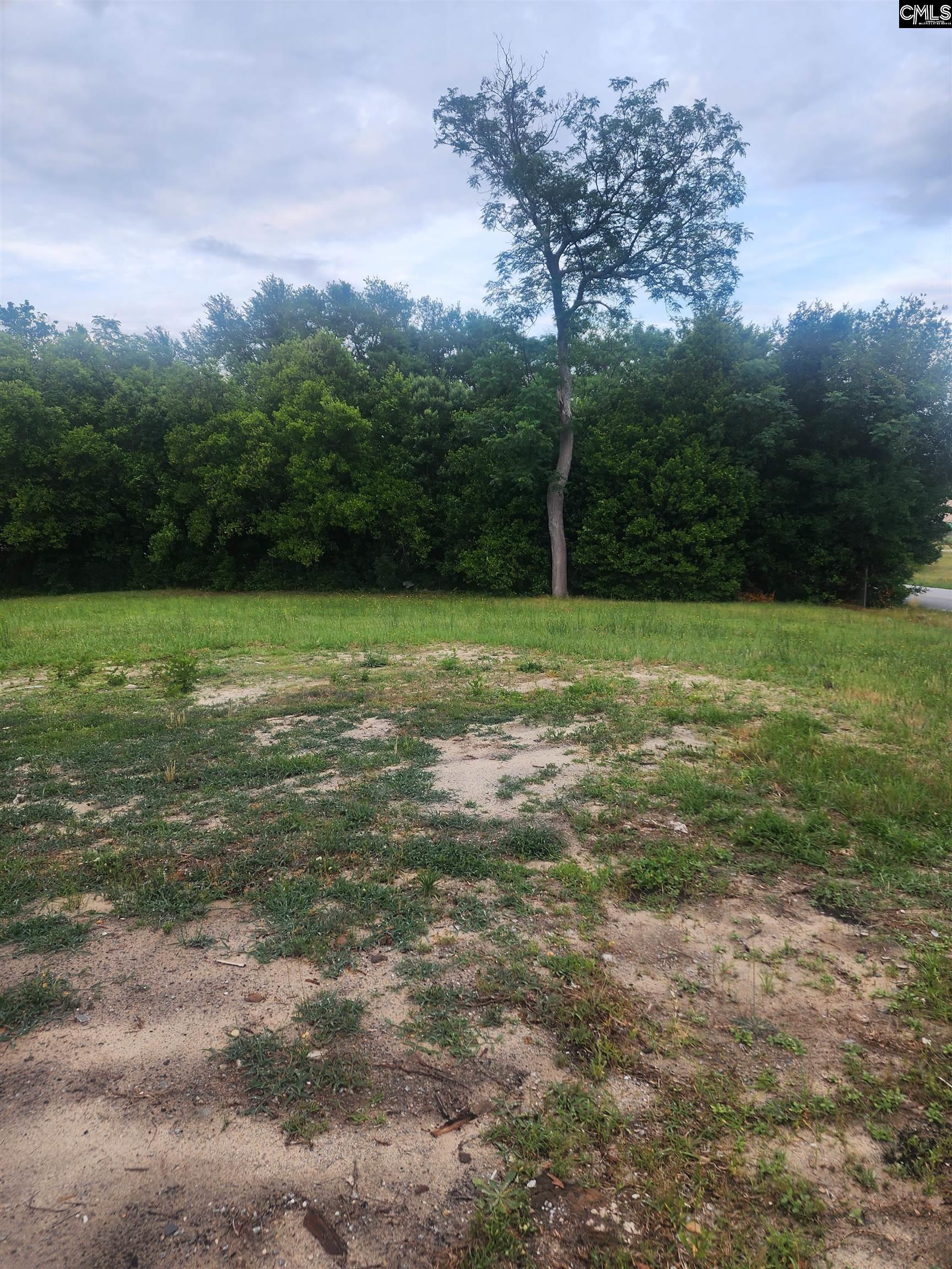2418 Campbell Street, Elgin, South Carolina image 3