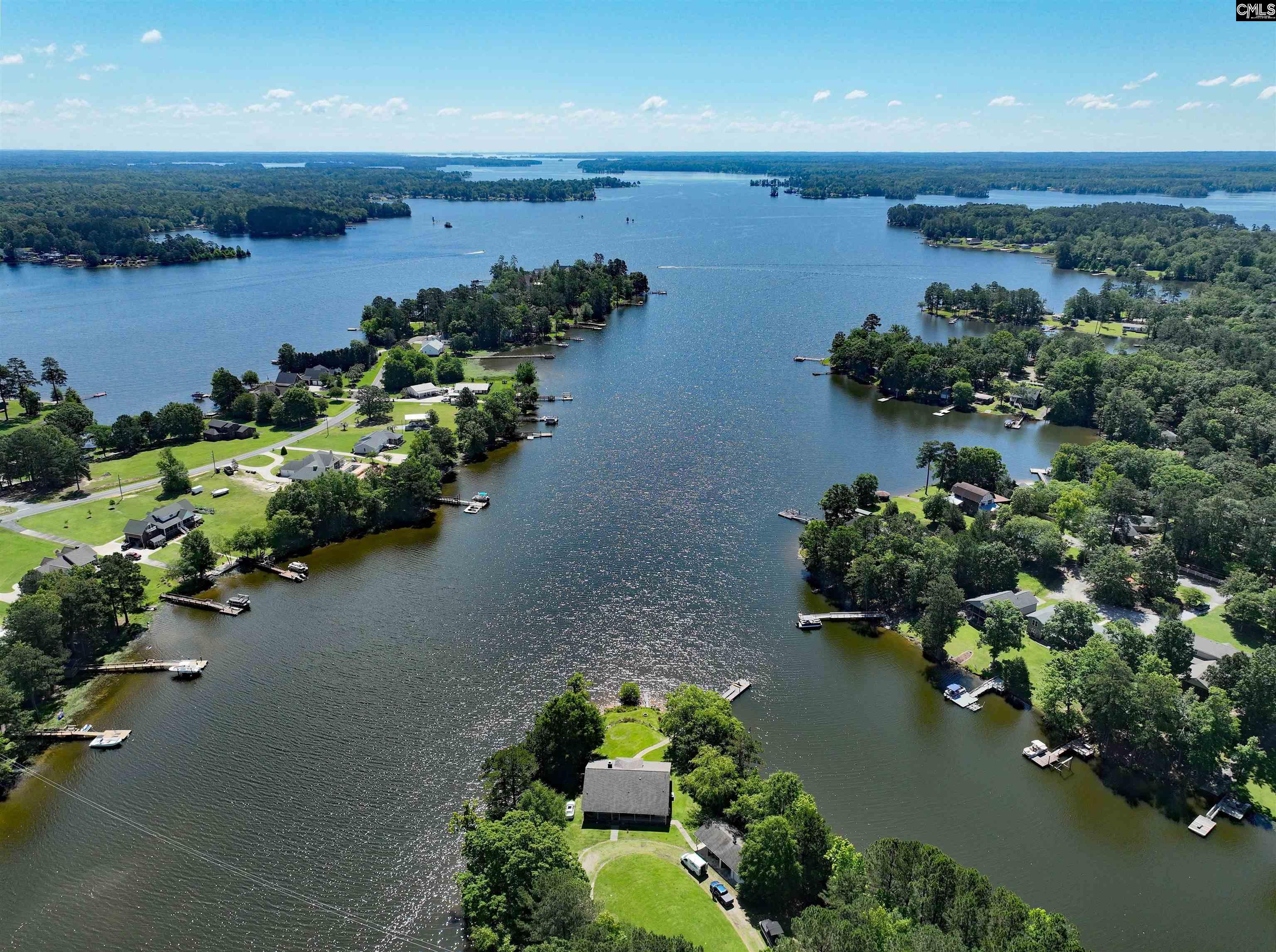 429 Forest Shores Road, Prosperity, South Carolina image 14