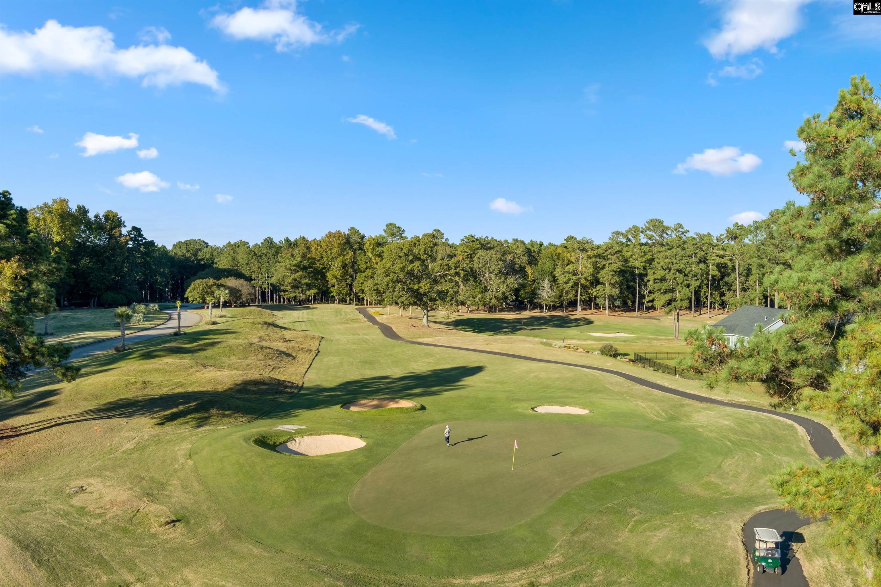 111 Caballeros Trail, Prosperity, South Carolina image 38