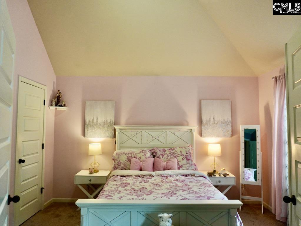 522 Meadow Grass Lane, Lexington, South Carolina image 22