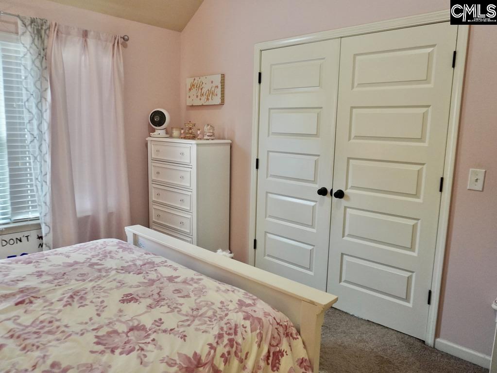 522 Meadow Grass Lane, Lexington, South Carolina image 23