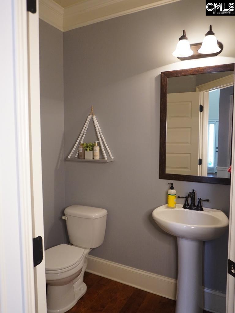 522 Meadow Grass Lane, Lexington, South Carolina image 7