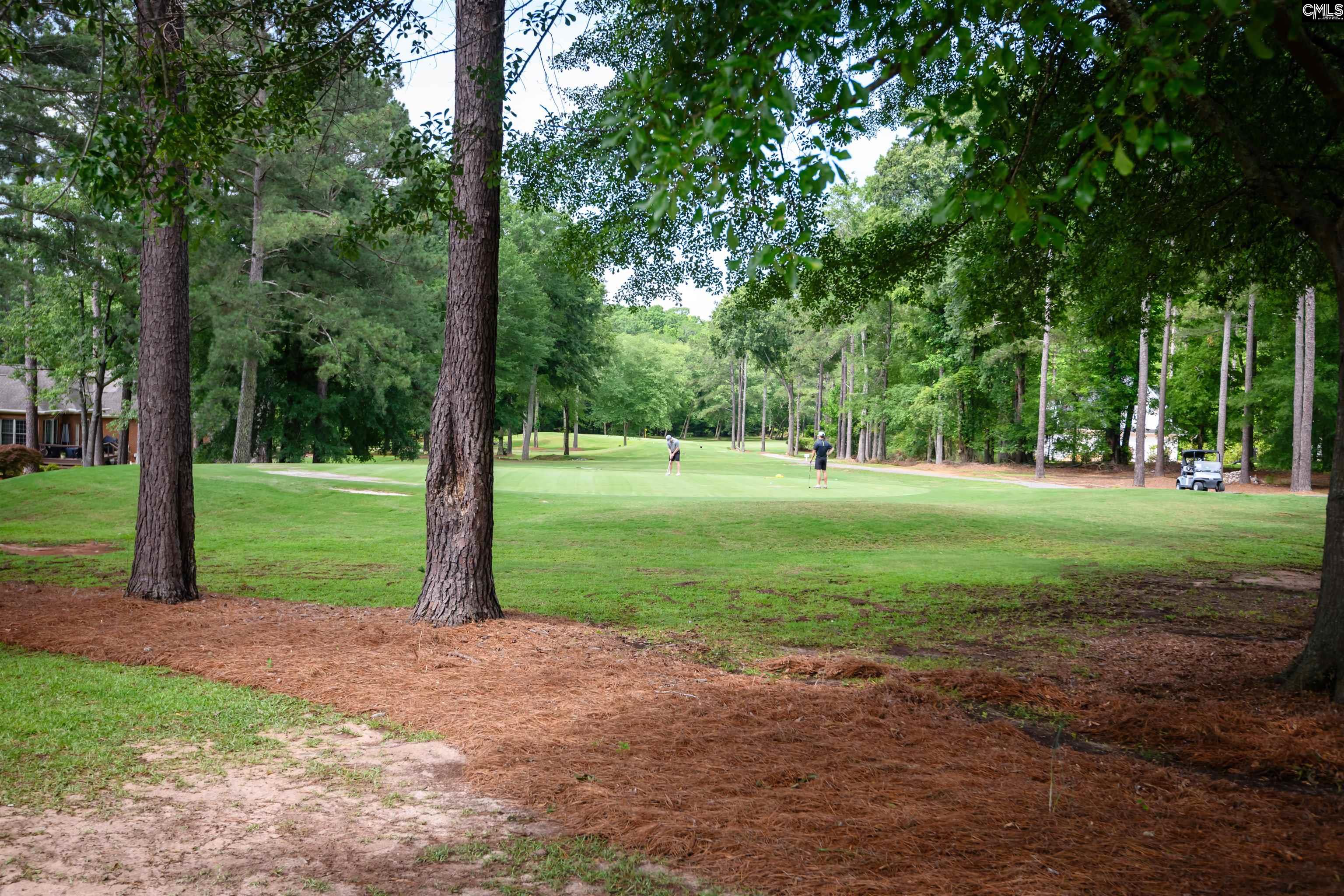 121 Hogan Court, Lexington, South Carolina image 31