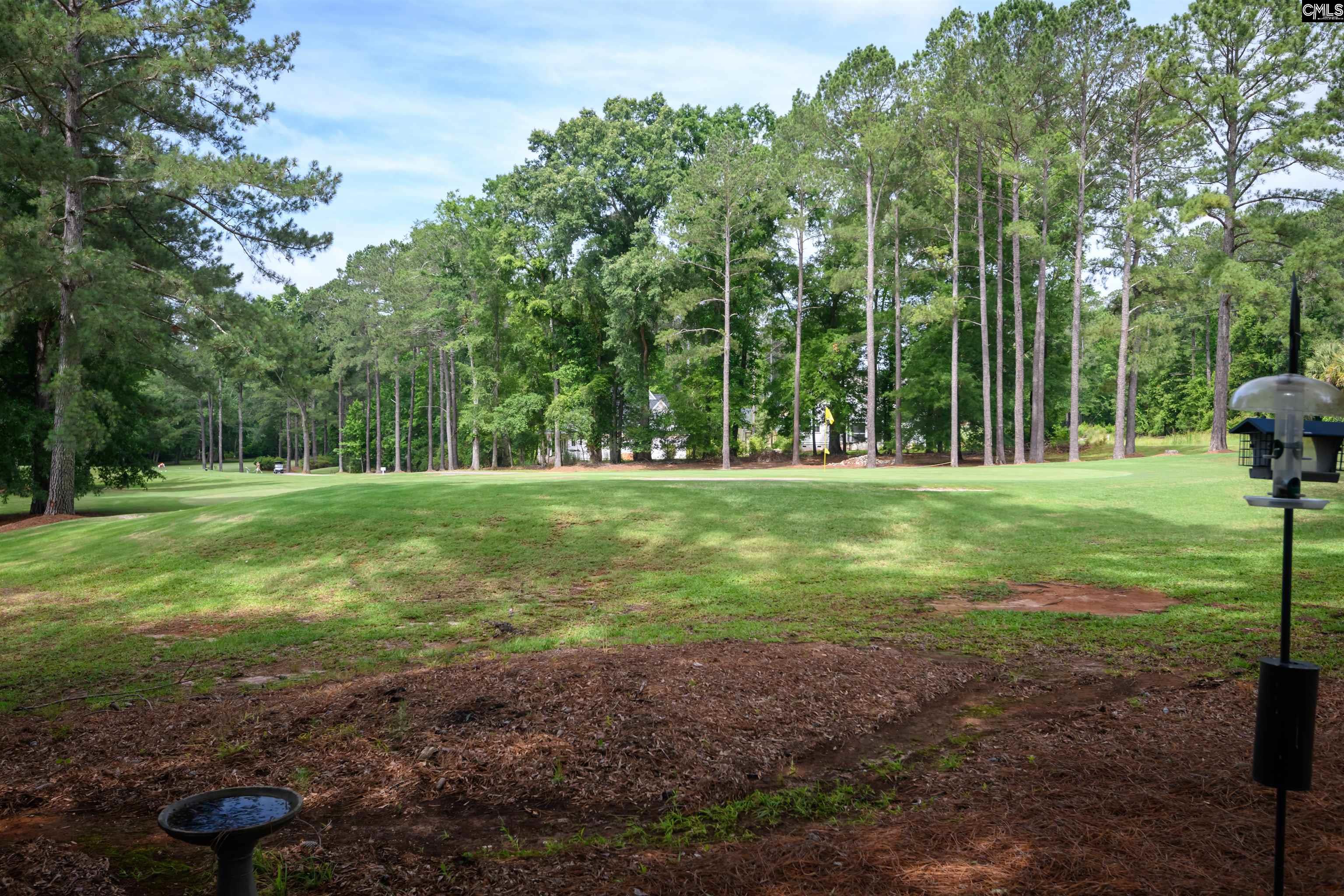 121 Hogan Court, Lexington, South Carolina image 33