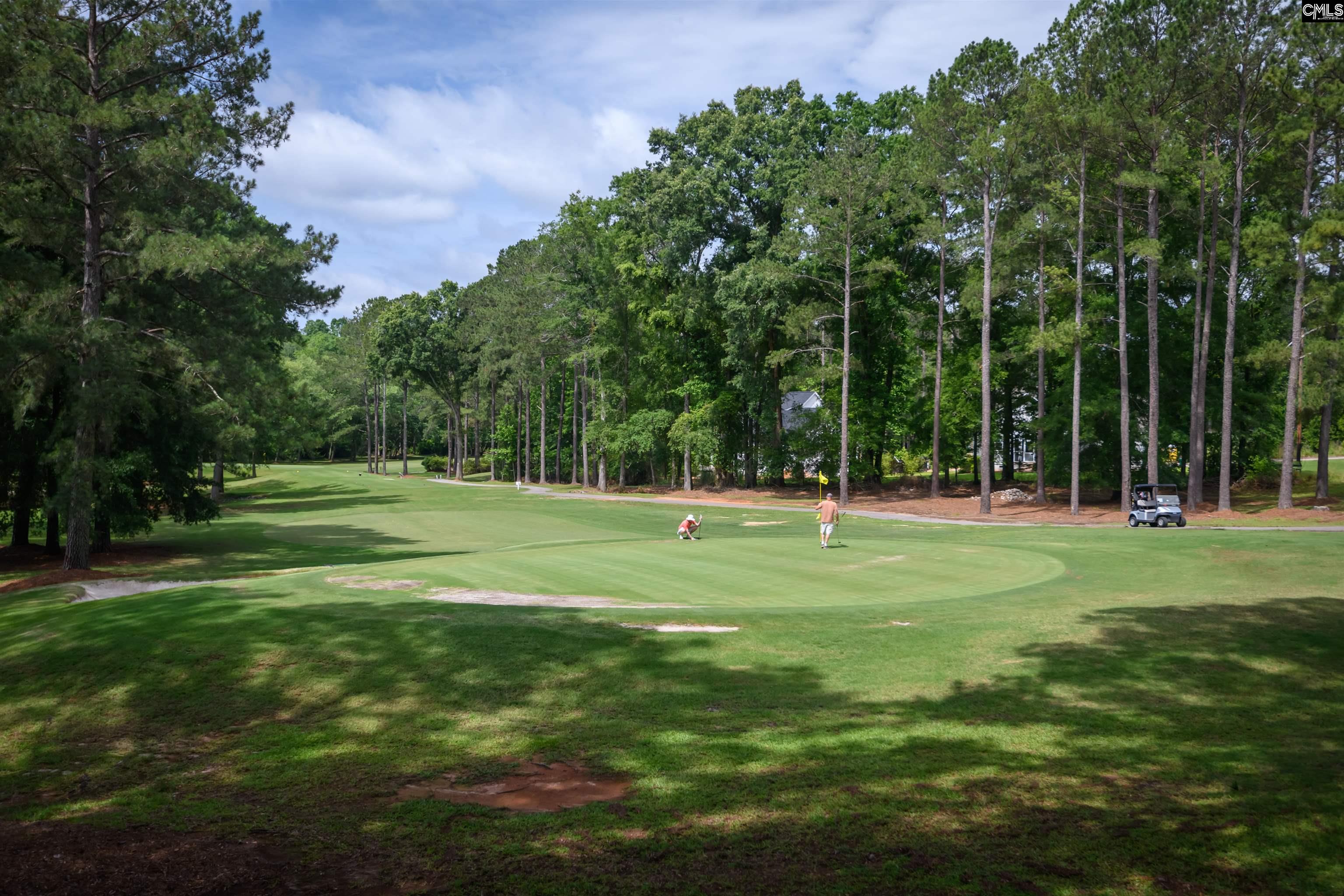 121 Hogan Court, Lexington, South Carolina image 40