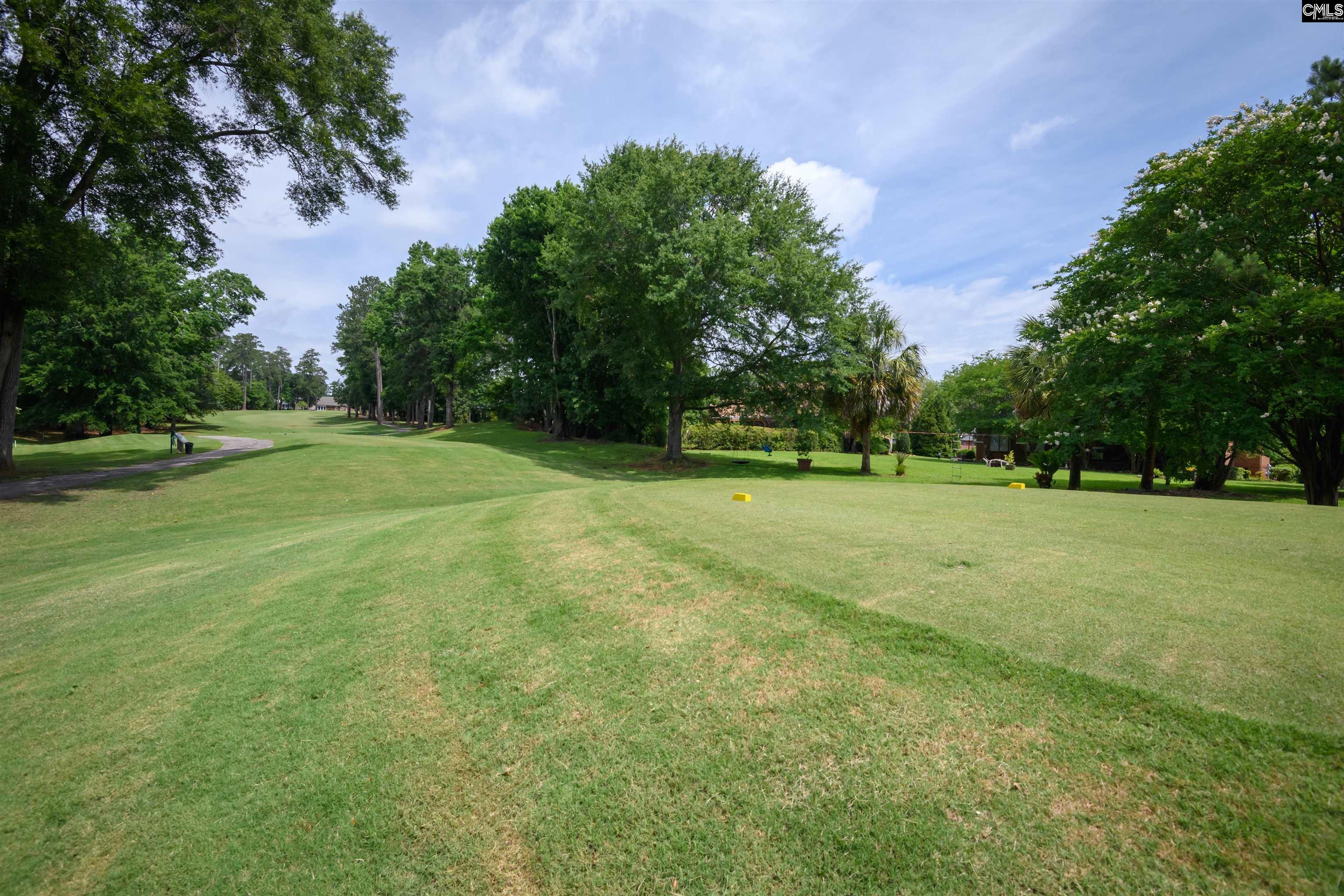 121 Hogan Court, Lexington, South Carolina image 41