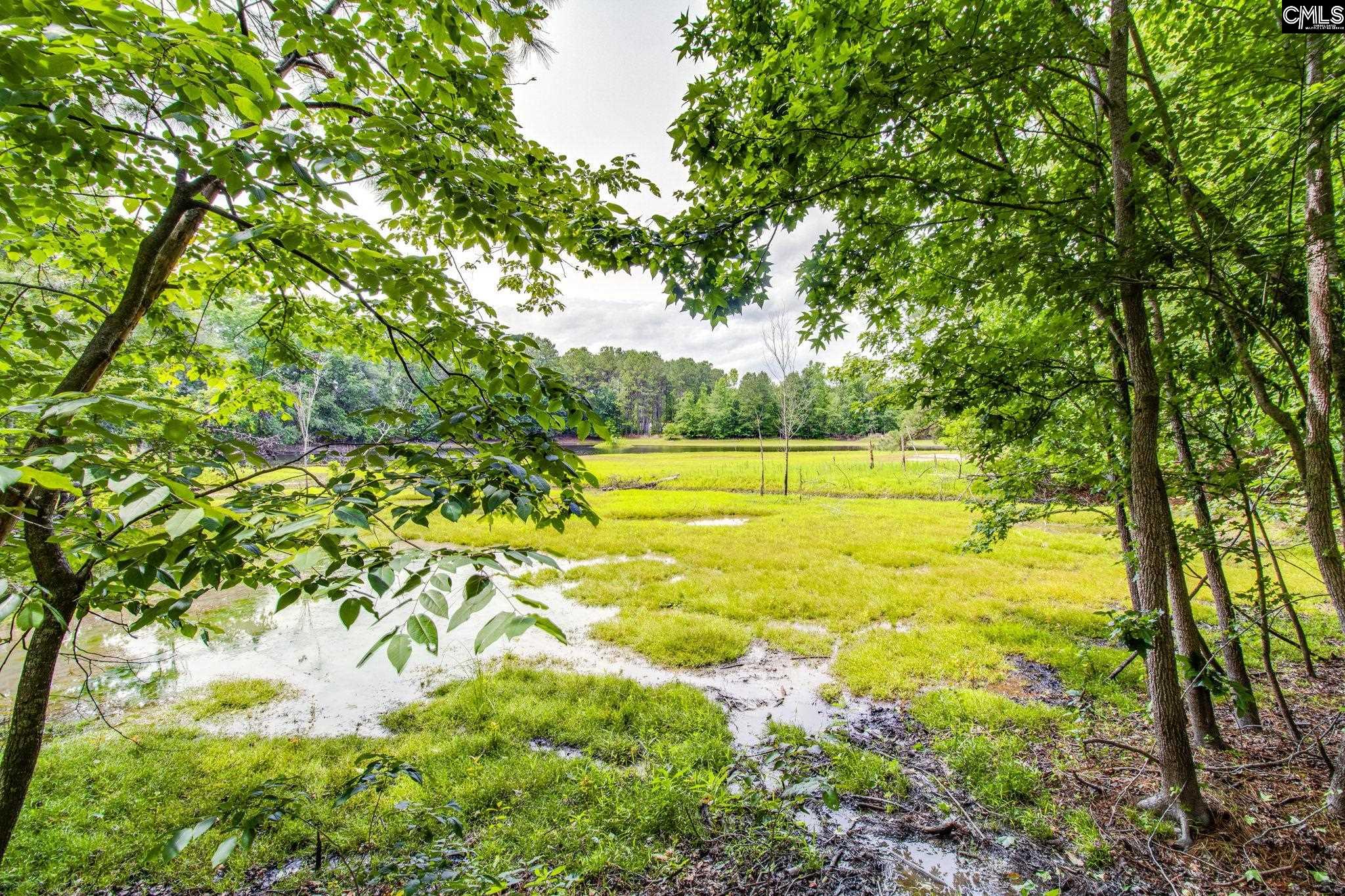 112 Scaley Bark Road, Cassatt, South Carolina image 3