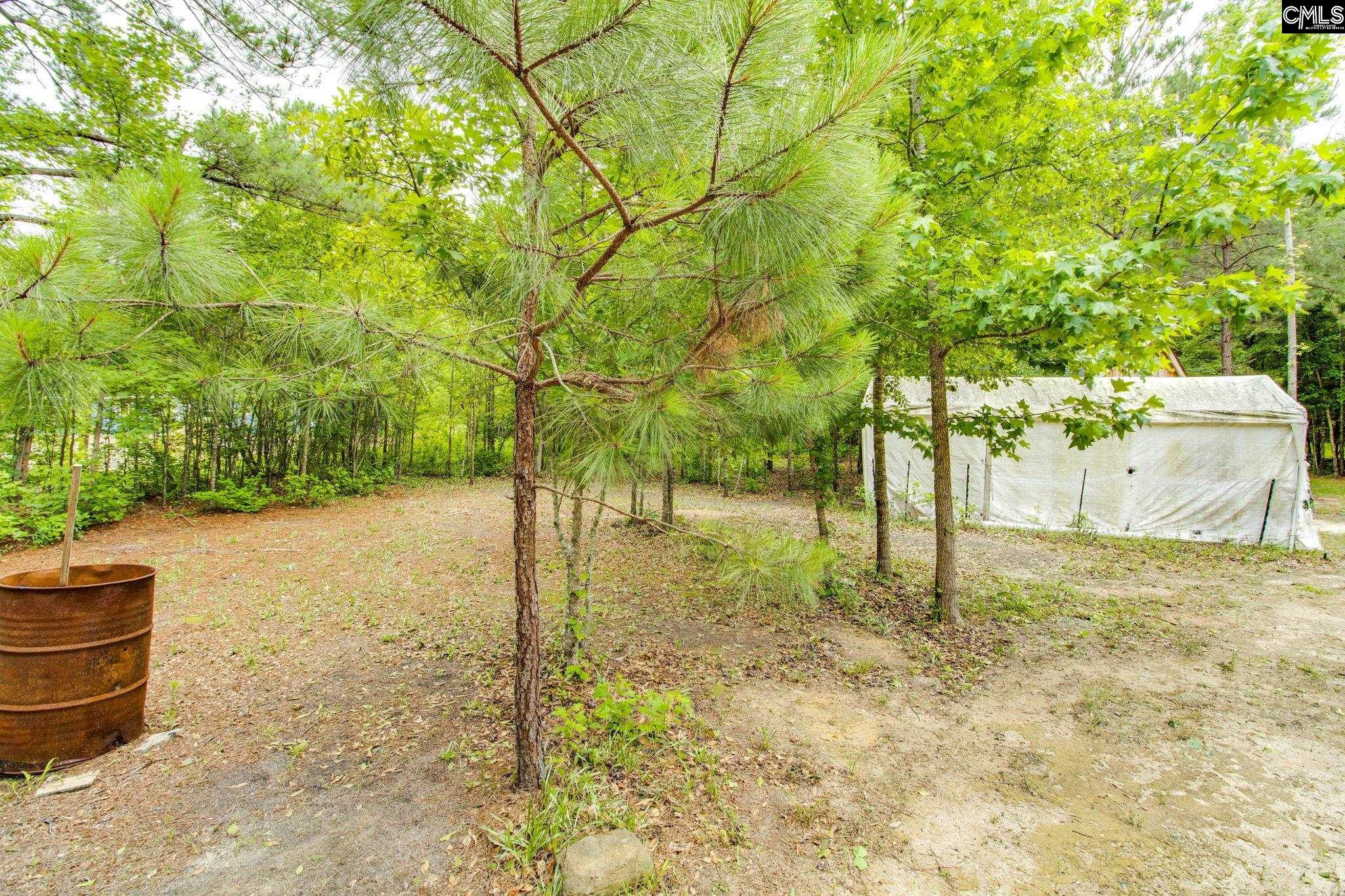 112 Scaley Bark Road, Cassatt, South Carolina image 23