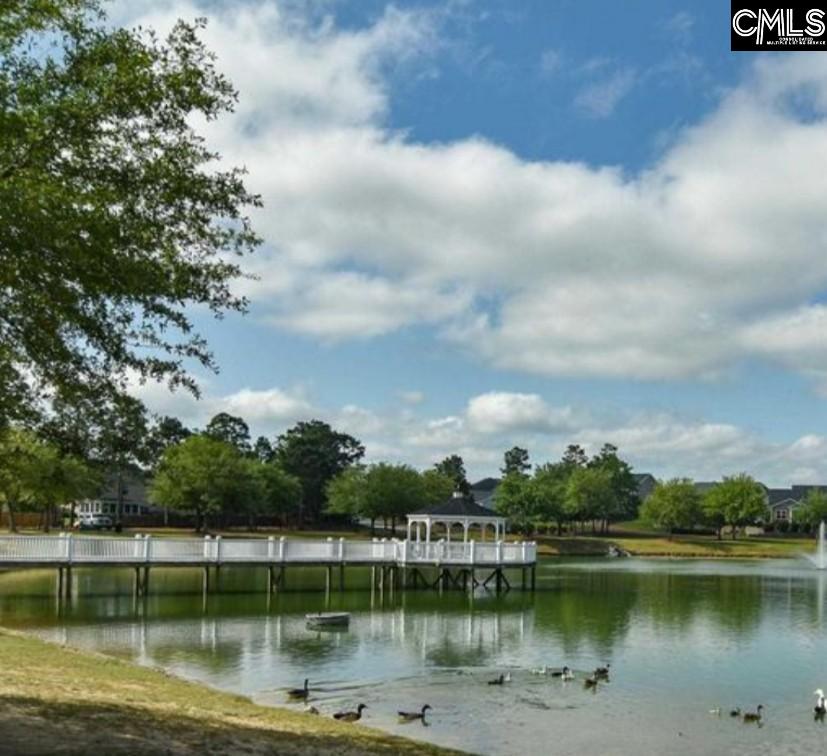 430 Huntsdale Court, Lexington, South Carolina image 39